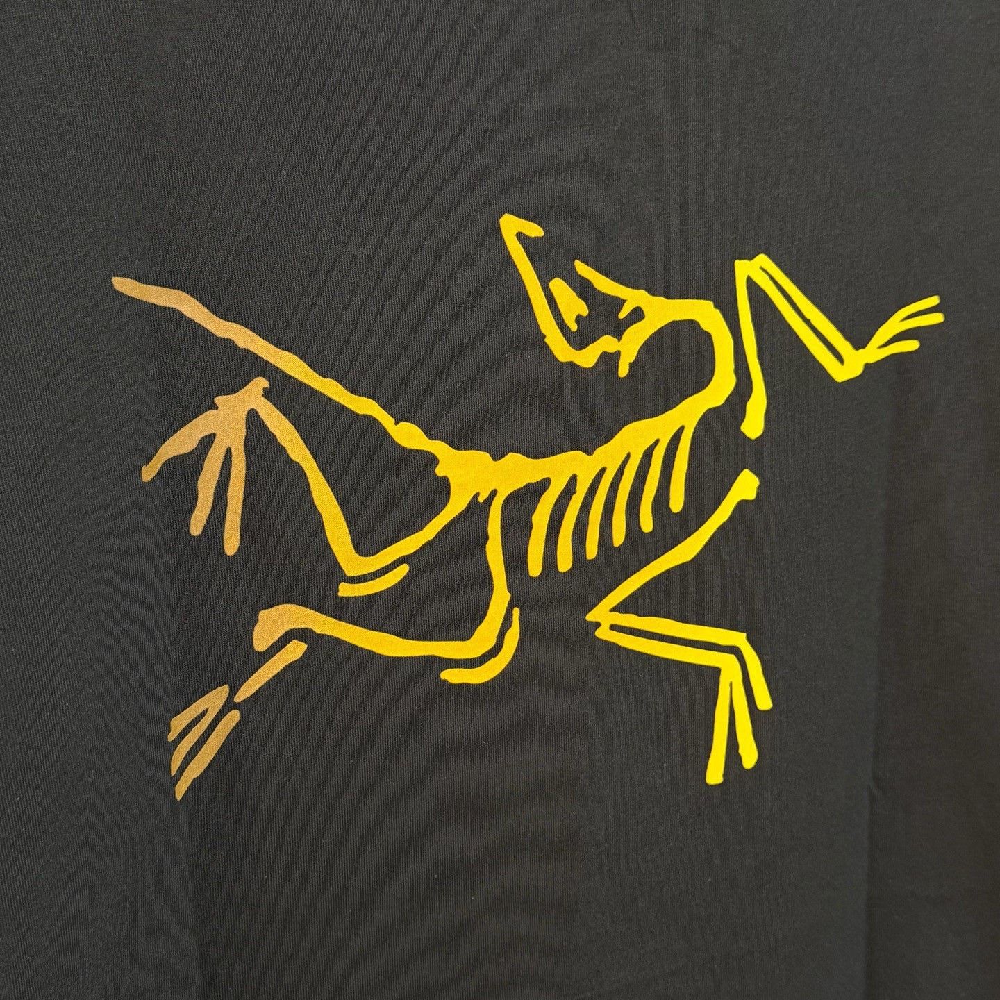Arc'teryx Arcteryx Kragg Cotton Logo SS T-shirt Size US XL / EU 56 / 4 - 5 Thumbnail