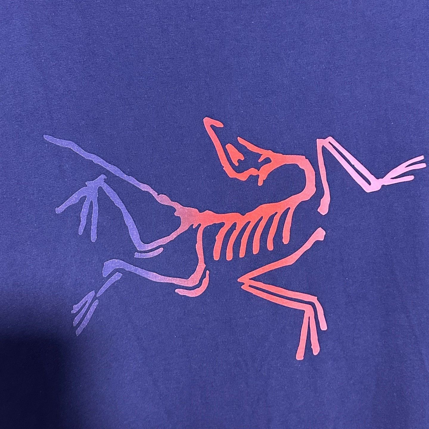Arc'teryx Arcteryx Kragg Cotton Large Logo T-Shirt Size US XXL / EU 58 / 5 - 5 Thumbnail