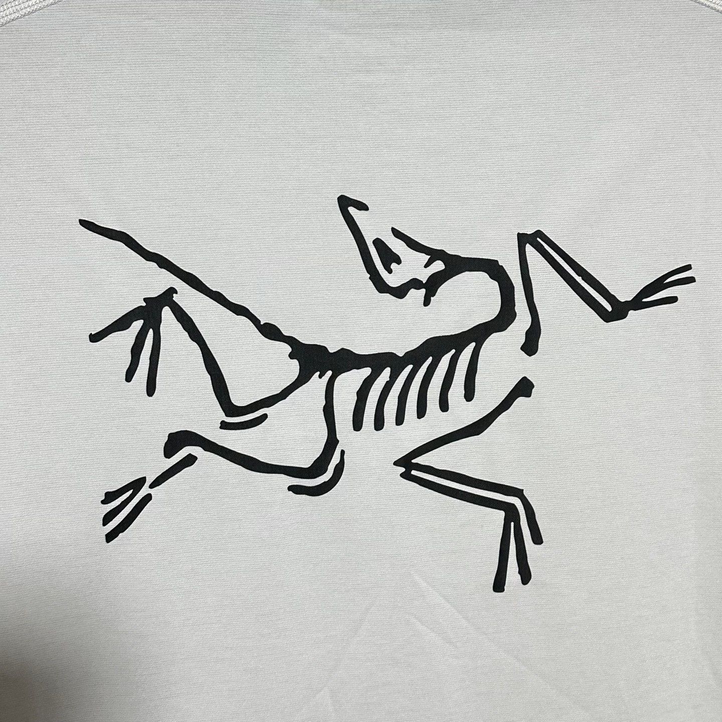 Arc'teryx Arcteryx Motus Quick-Dry T-Shirt Size US S / EU 44-46 / 1 - 3 Thumbnail