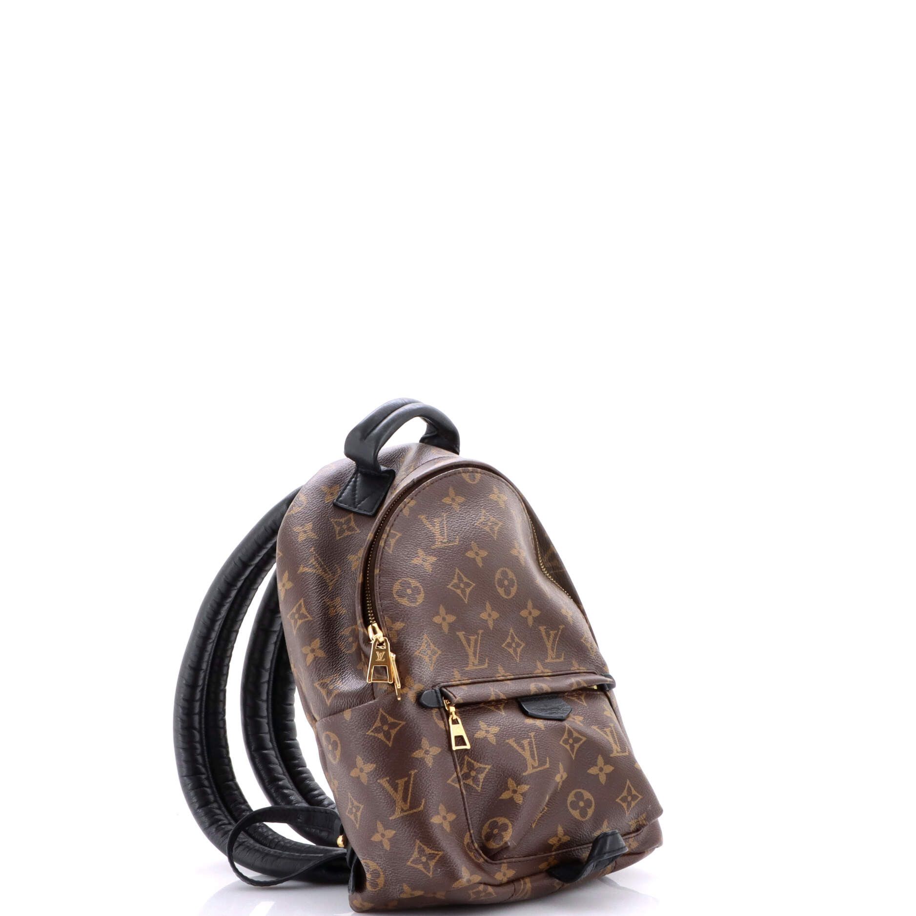 Louis Vuitton Palm Springs Backpack Size ONE SIZE - 2 Thumbnail