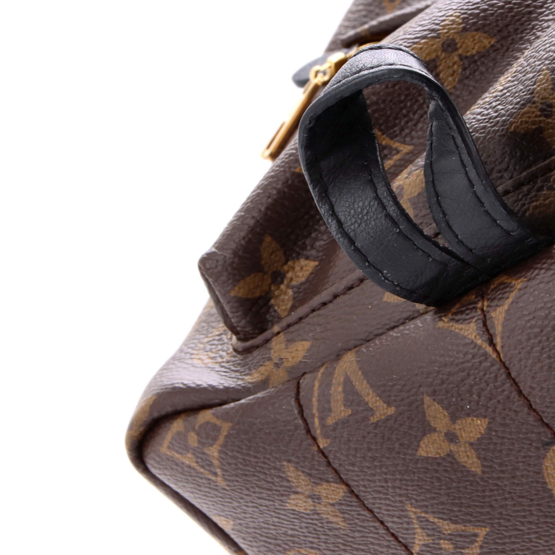 Louis Vuitton Palm Springs Backpack Size ONE SIZE - 6 Thumbnail