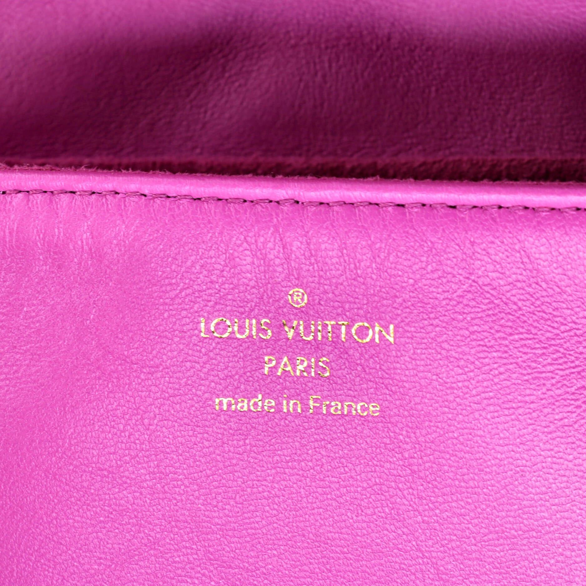 Louis Vuitton Coussin Beltbag Size ONE SIZE - 7 Thumbnail