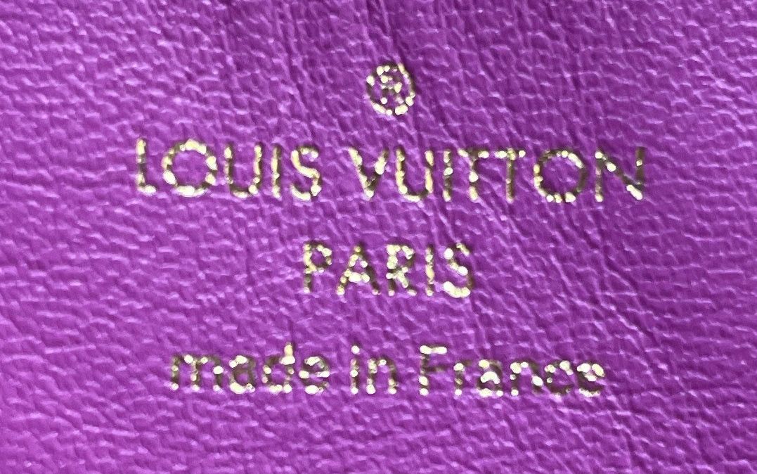 Louis Vuitton Coussin Beltbag Size ONE SIZE - 8 Thumbnail