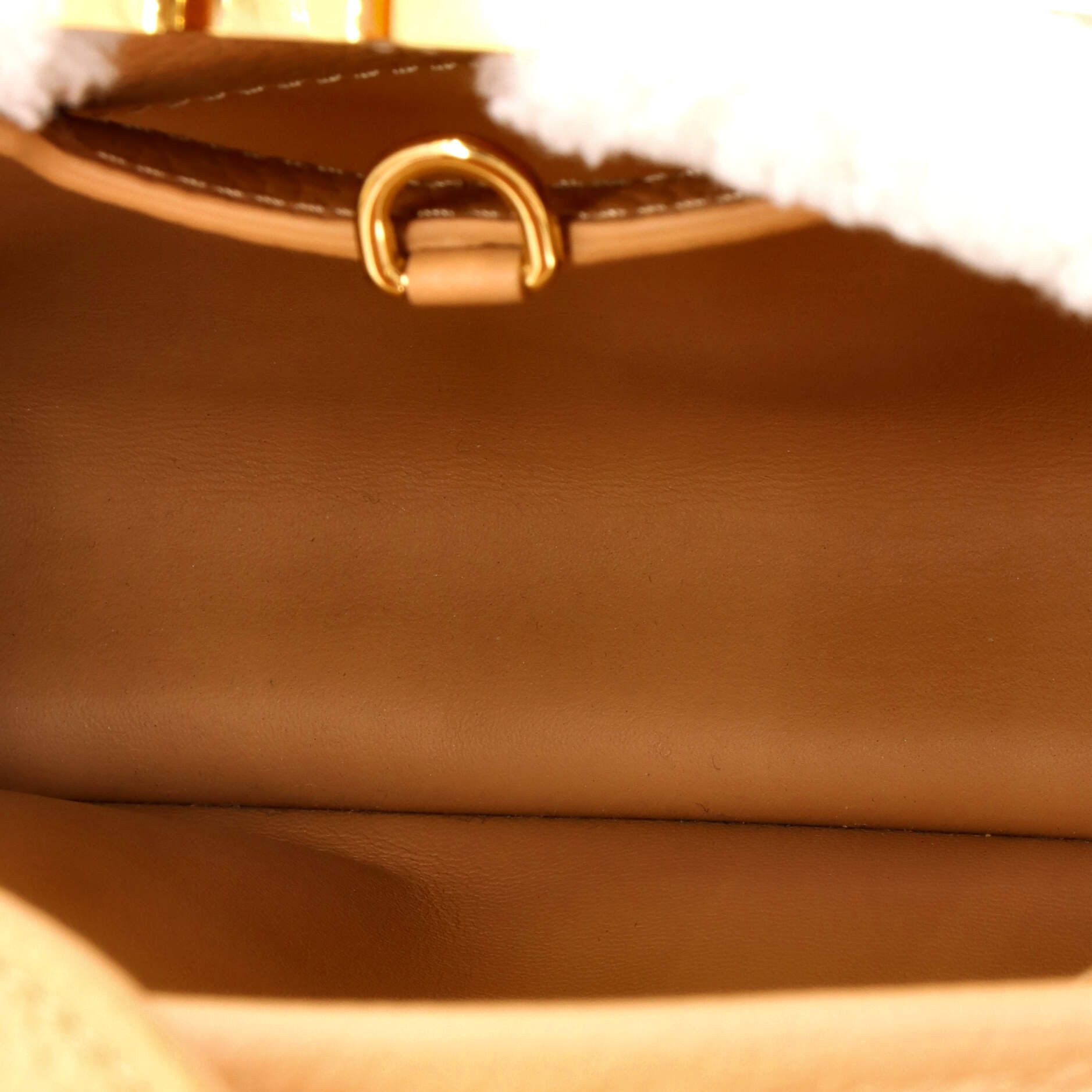 Louis Vuitton Capucines Bag Size ONE SIZE - 5 Thumbnail