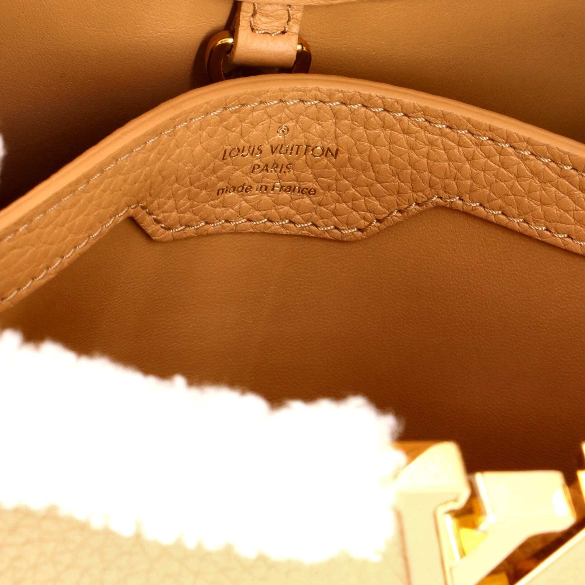 Louis Vuitton Capucines Bag Size ONE SIZE - 7 Thumbnail
