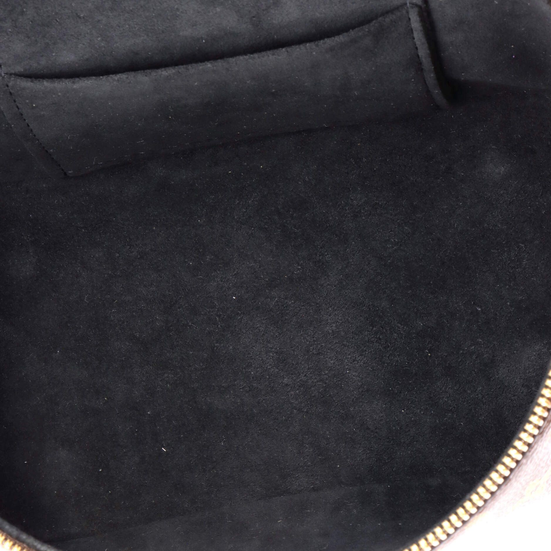 Louis Vuitton Vanity Handbag Size ONE SIZE - 5 Thumbnail