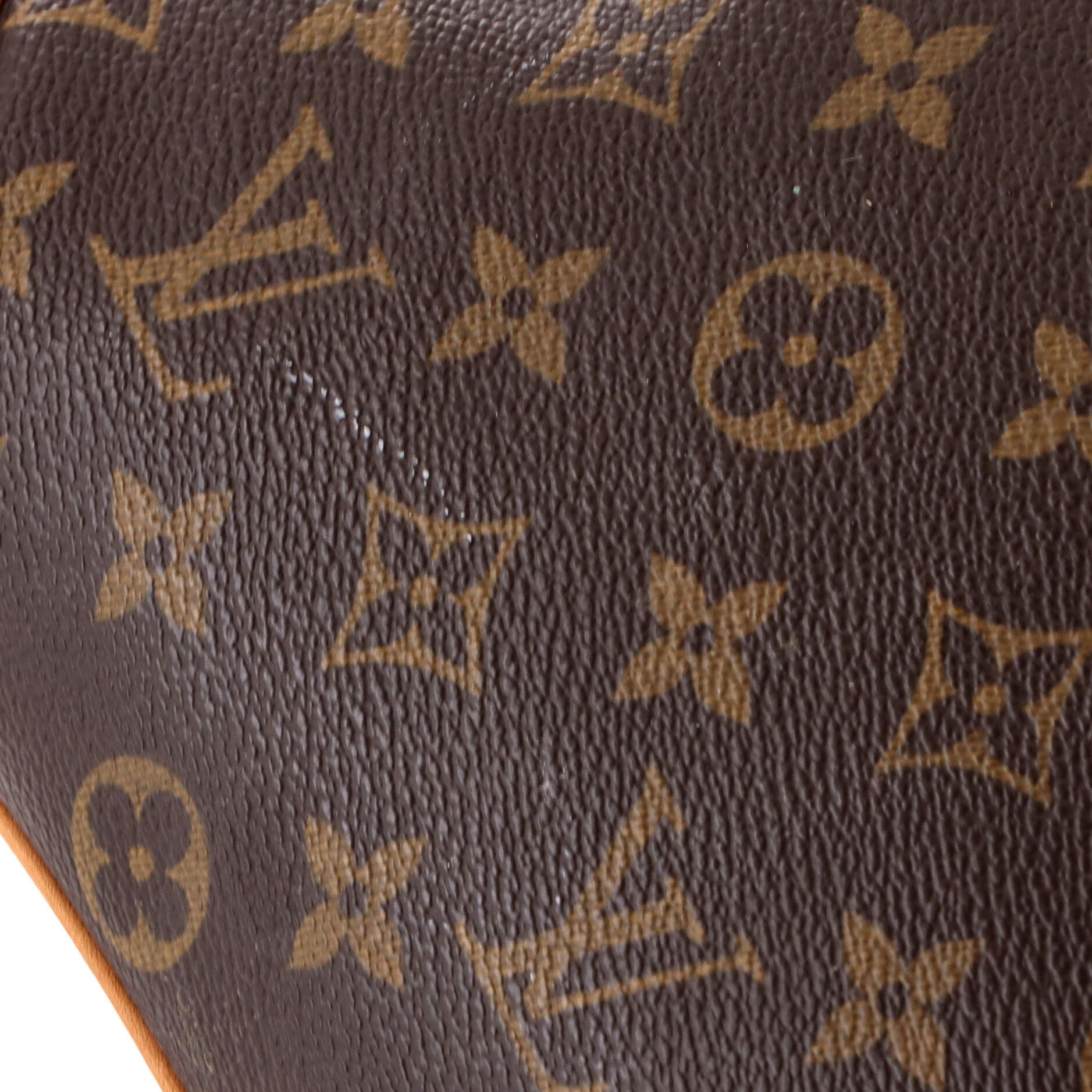 Louis Vuitton Vintage Coussin Bag Size ONE SIZE - 7 Thumbnail