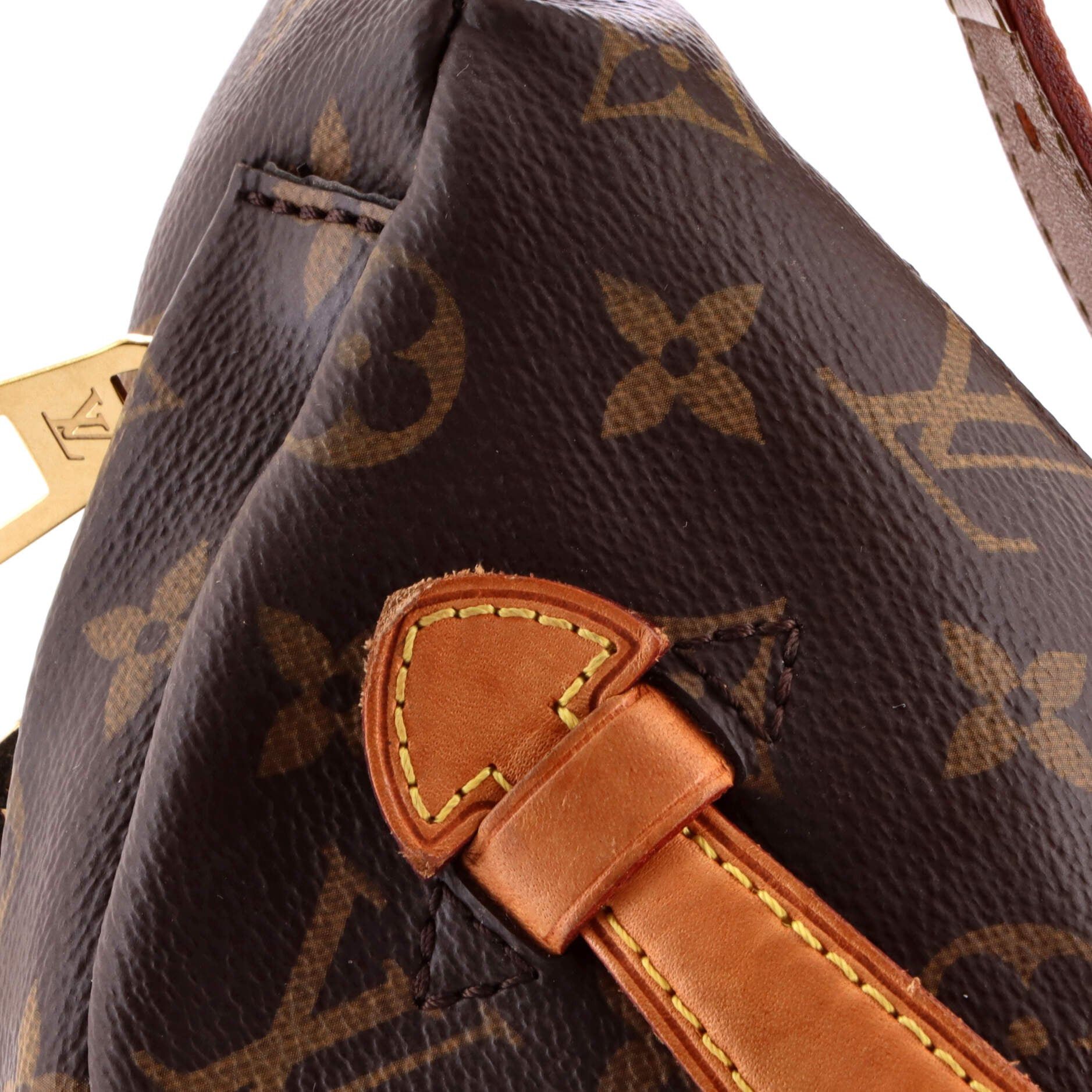 Louis Vuitton Bum Bag Size ONE SIZE - 6 Thumbnail