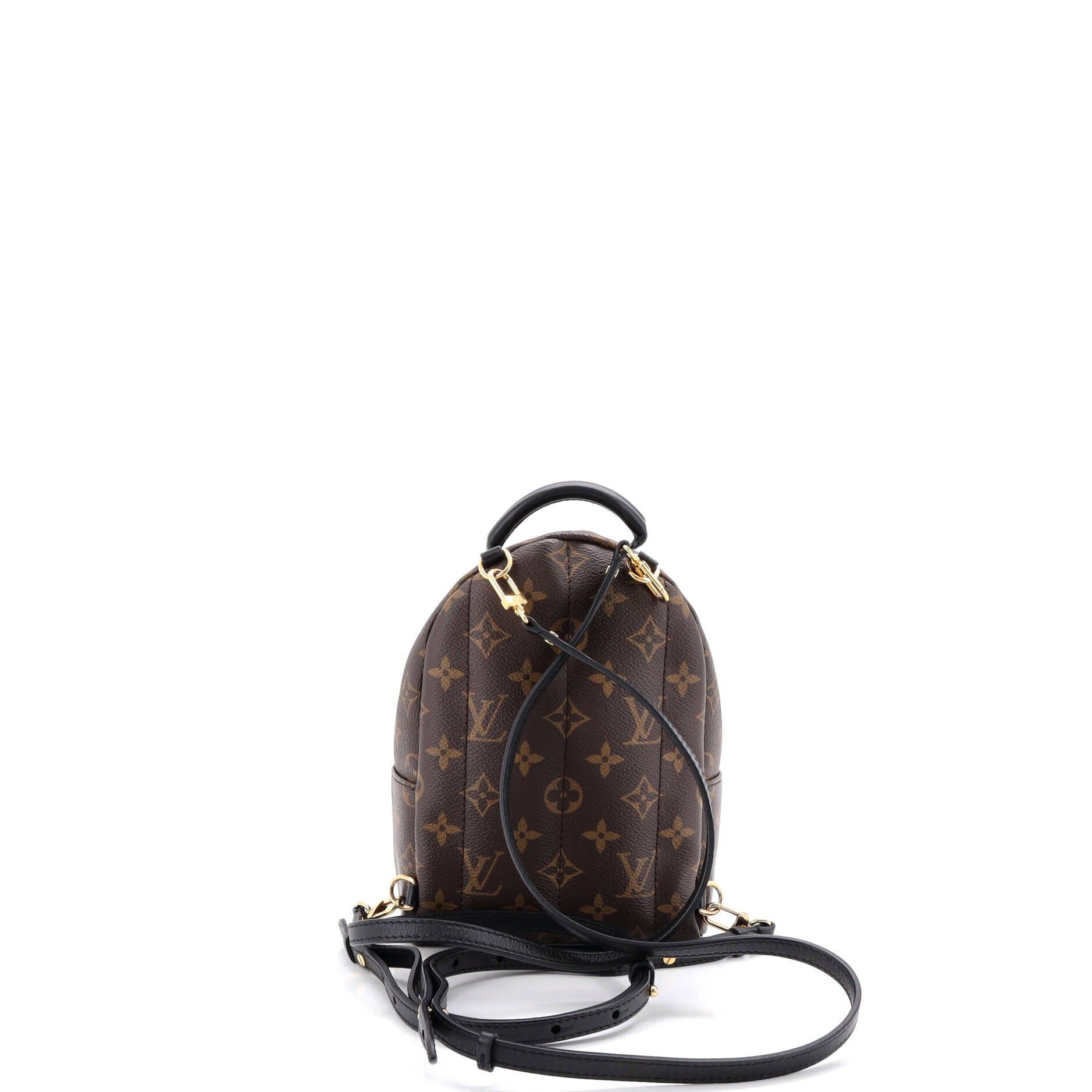 Louis Vuitton Palm Springs Backpack Size ONE SIZE - 3 Thumbnail