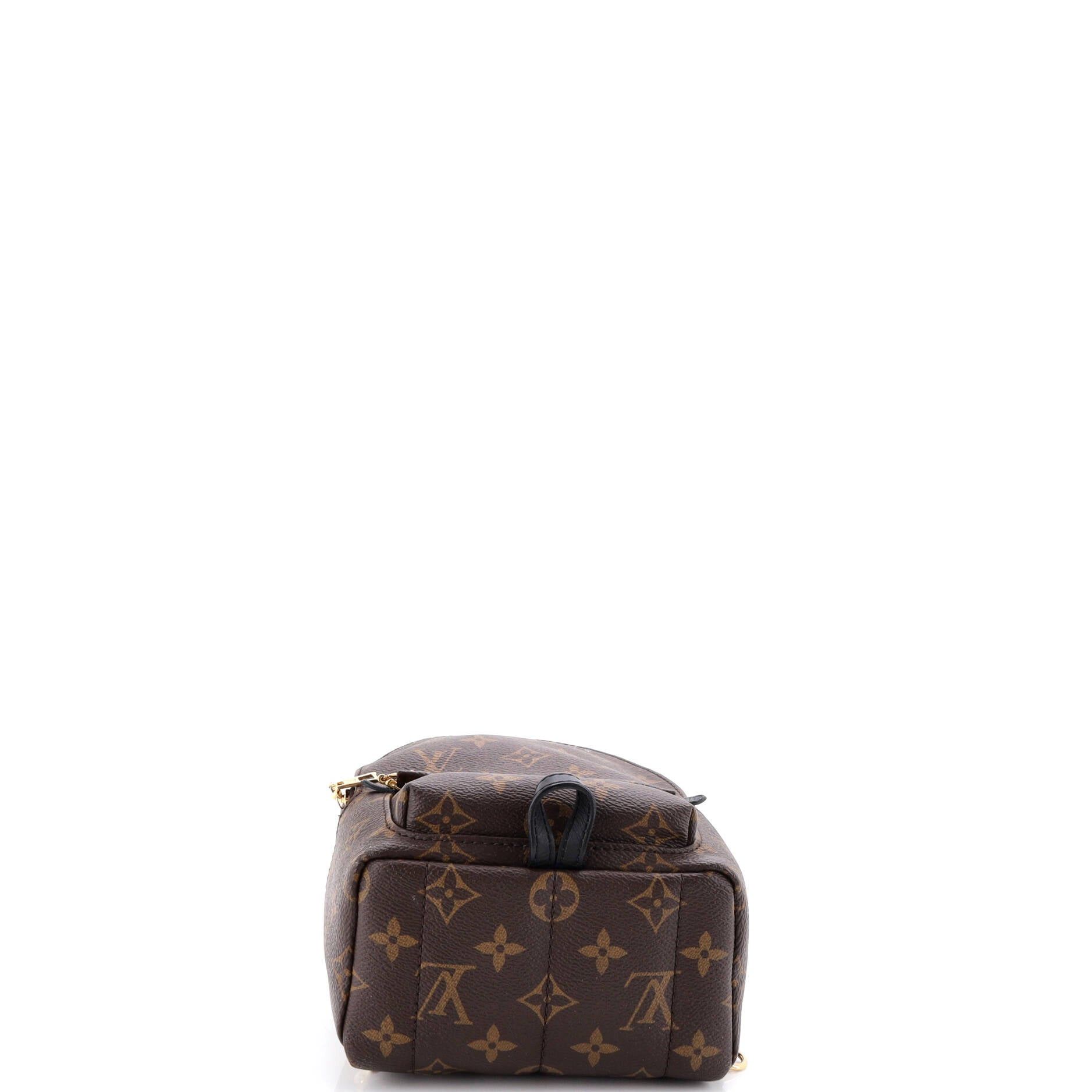 Louis Vuitton Palm Springs Backpack Size ONE SIZE - 4 Thumbnail
