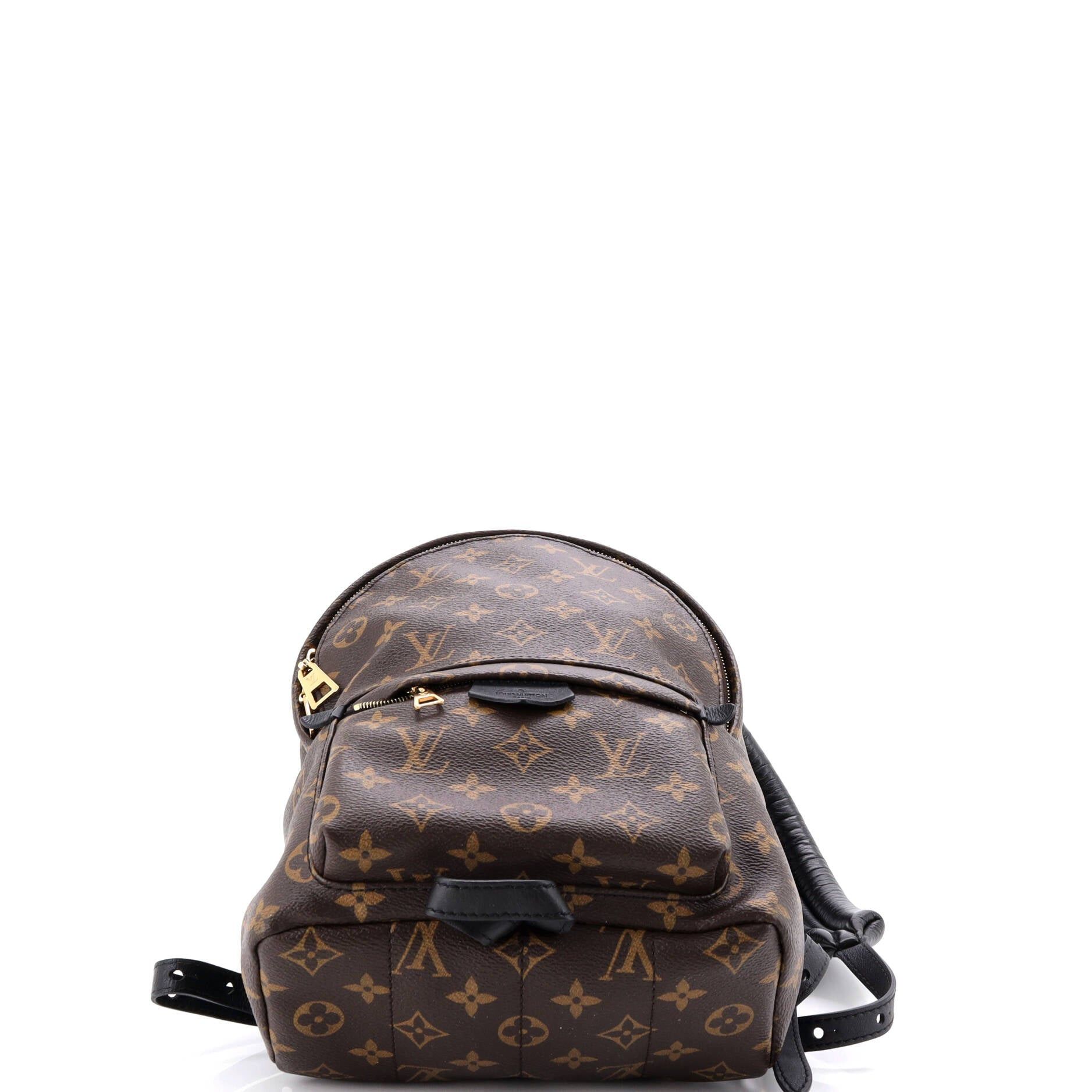 Louis Vuitton Palm Springs Backpack Size ONE SIZE - 4 Thumbnail