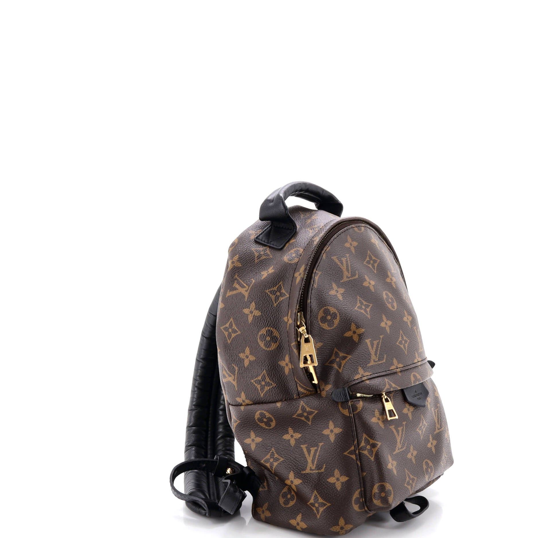 Louis Vuitton Palm Springs Backpack Size ONE SIZE - 2 Thumbnail
