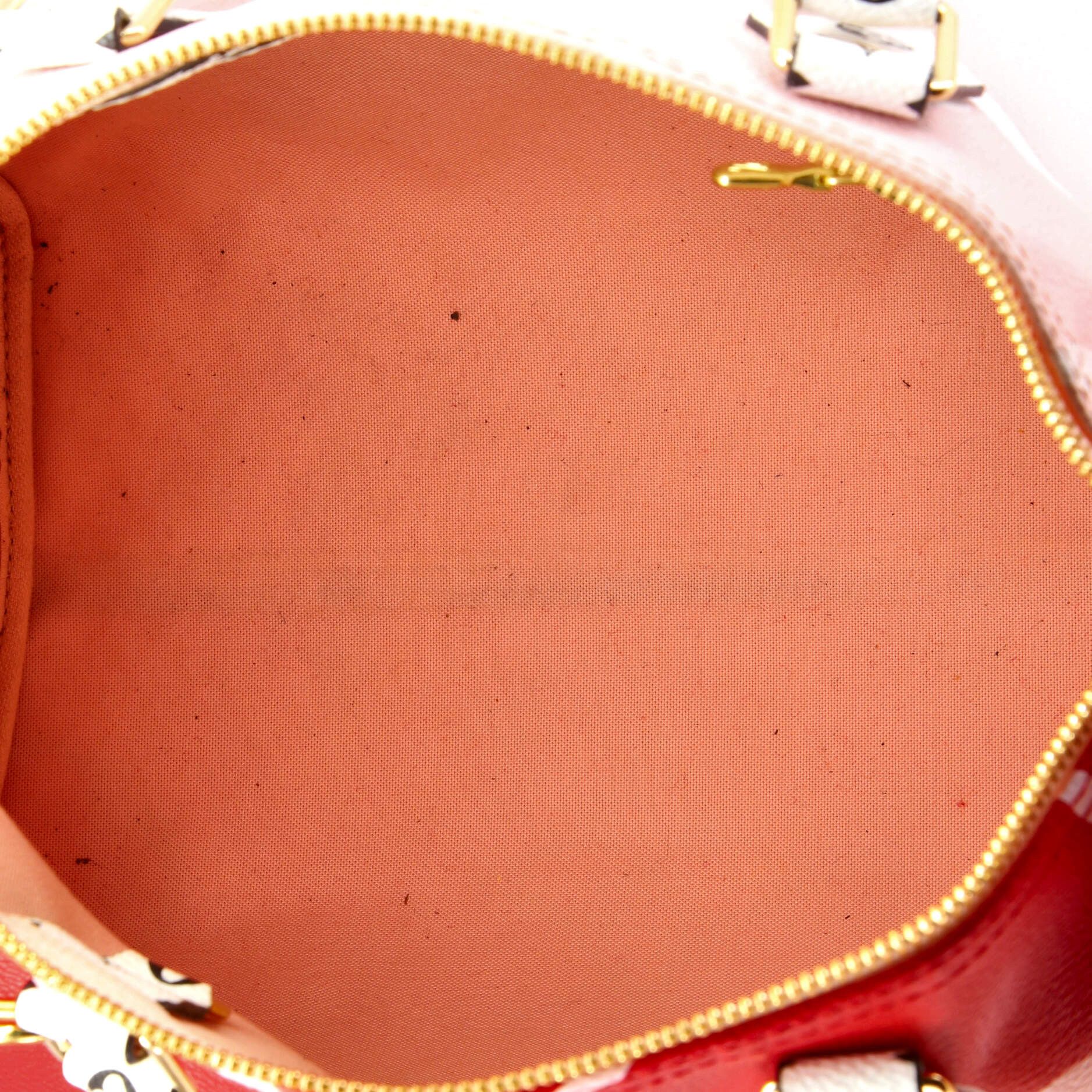 Louis Vuitton Speedy Bandouliere Bag Size ONE SIZE - 5 Thumbnail