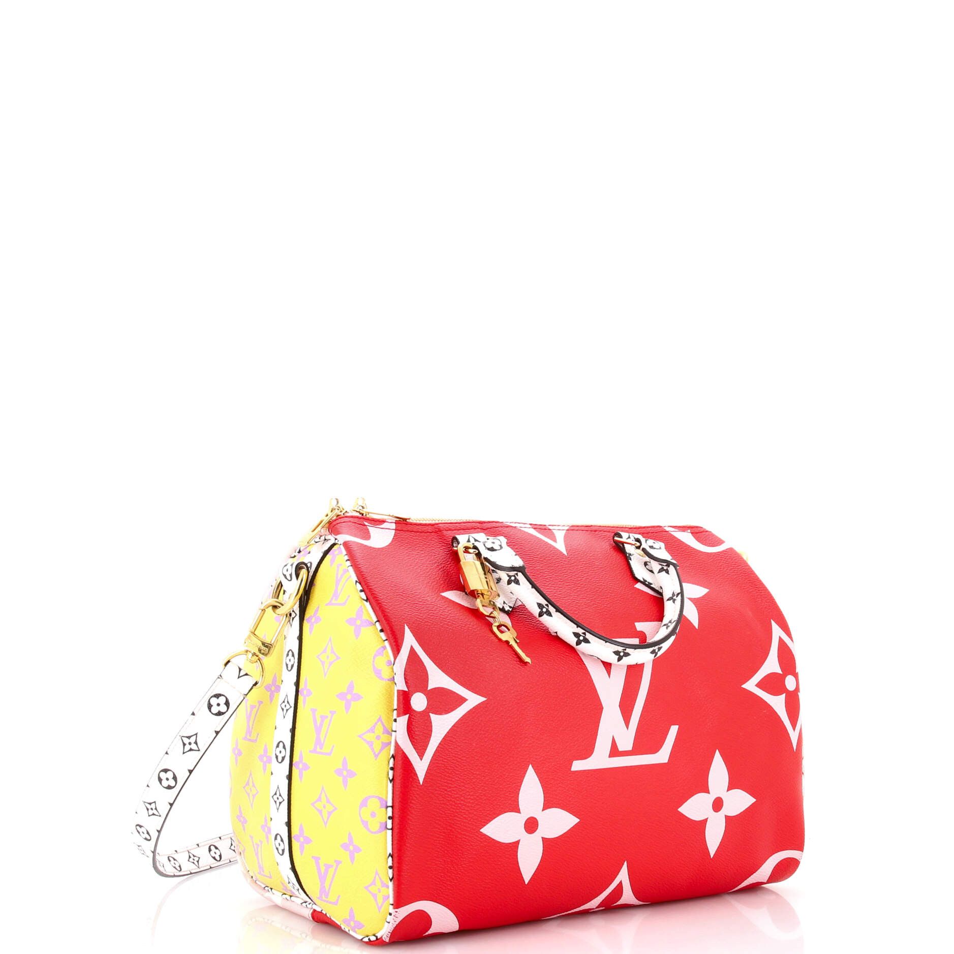 Louis Vuitton Speedy Bandouliere Bag Size ONE SIZE - 2 Thumbnail
