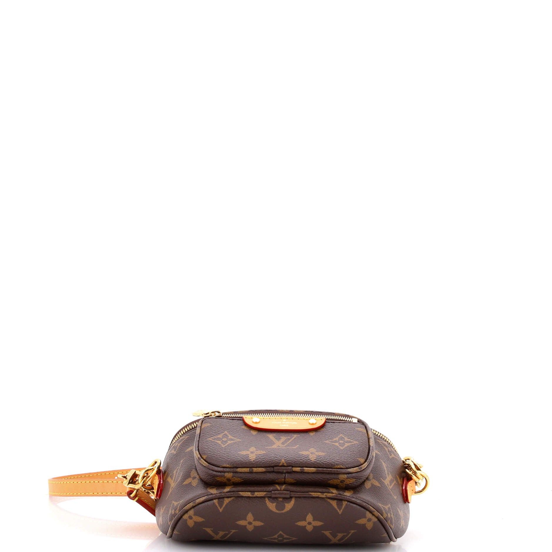 Louis Vuitton Bum Bag Size ONE SIZE - 4 Thumbnail