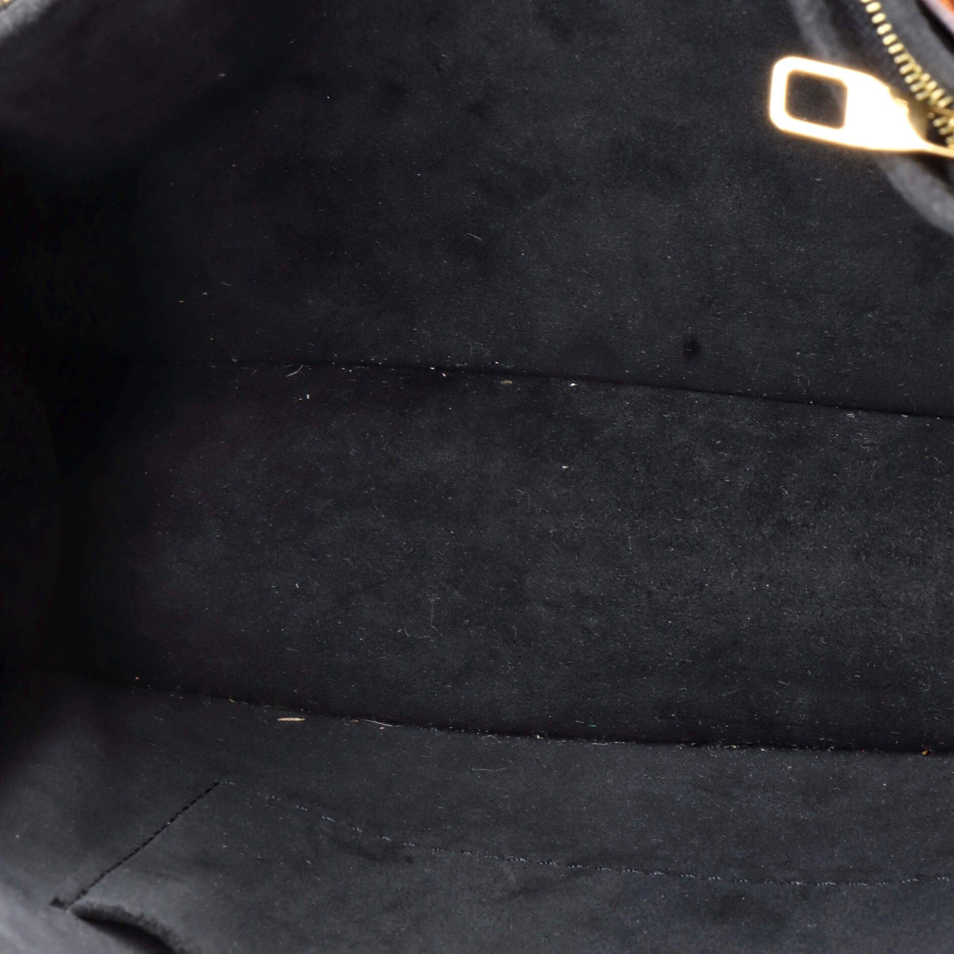 Louis Vuitton Dauphine Shoulder Bag Size ONE SIZE - 5 Thumbnail
