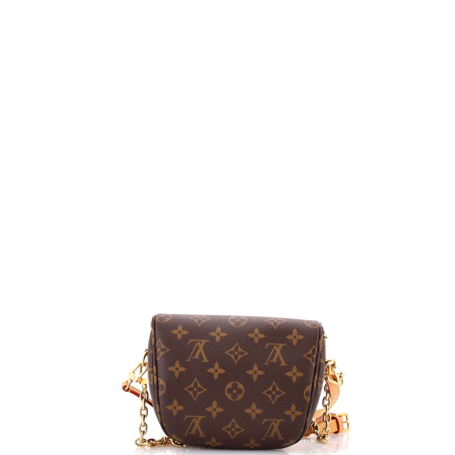 Louis Vuitton Bum Bag Size ONE SIZE - 3 Thumbnail