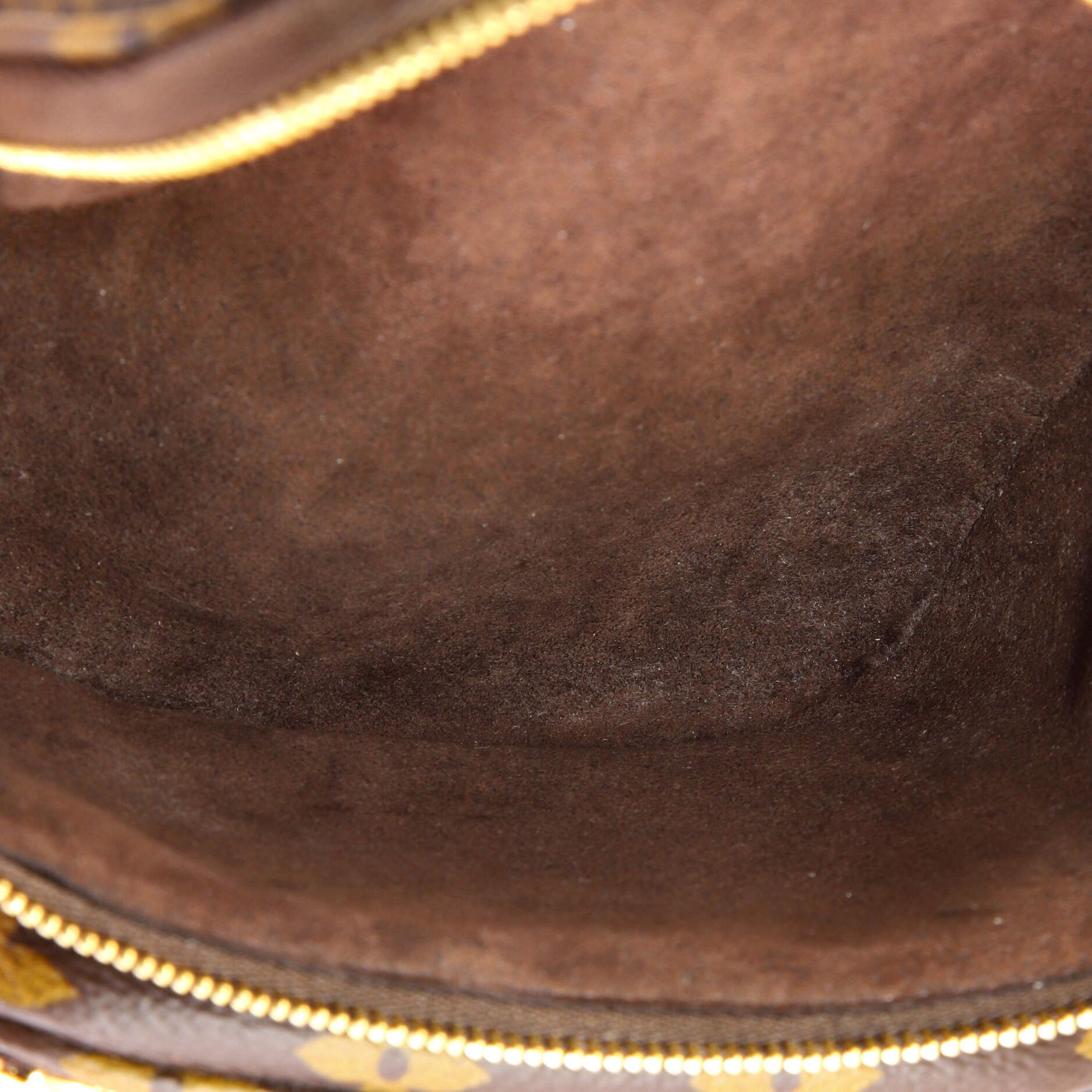 Louis Vuitton Bum Bag Size ONE SIZE - 5 Thumbnail