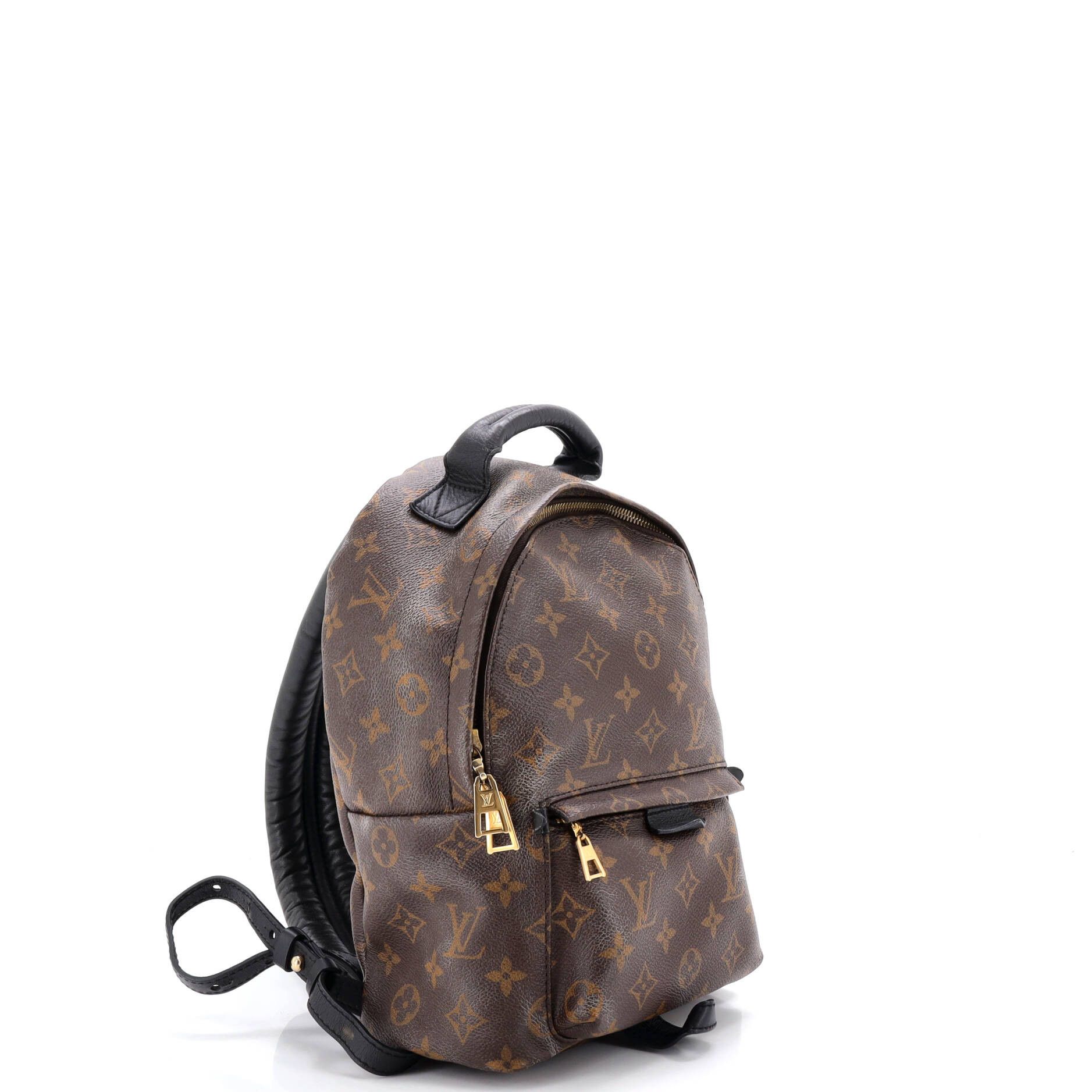 Louis Vuitton Palm Springs Backpack Size ONE SIZE - 2 Thumbnail