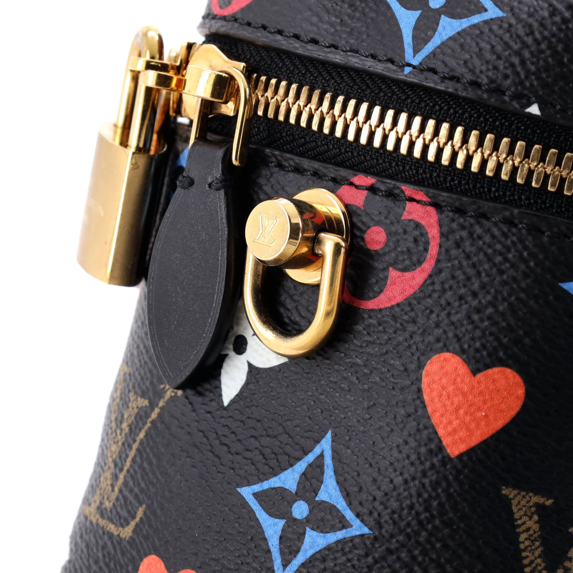 Louis Vuitton Vanity Handbag Size ONE SIZE - 6 Thumbnail