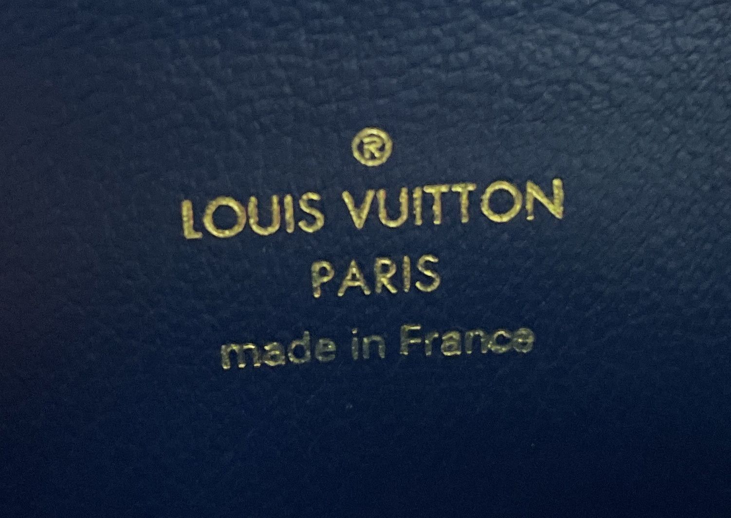 Louis Vuitton Coussin Bag Size ONE SIZE - 7 Thumbnail