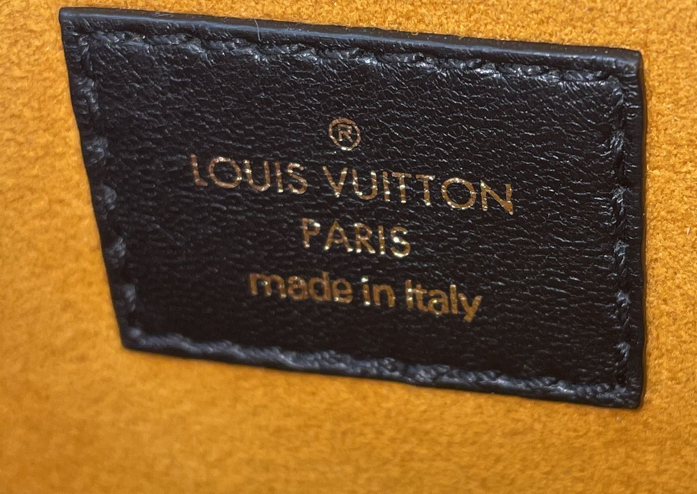 Louis Vuitton Coussin Bag Size ONE SIZE - 9 Thumbnail
