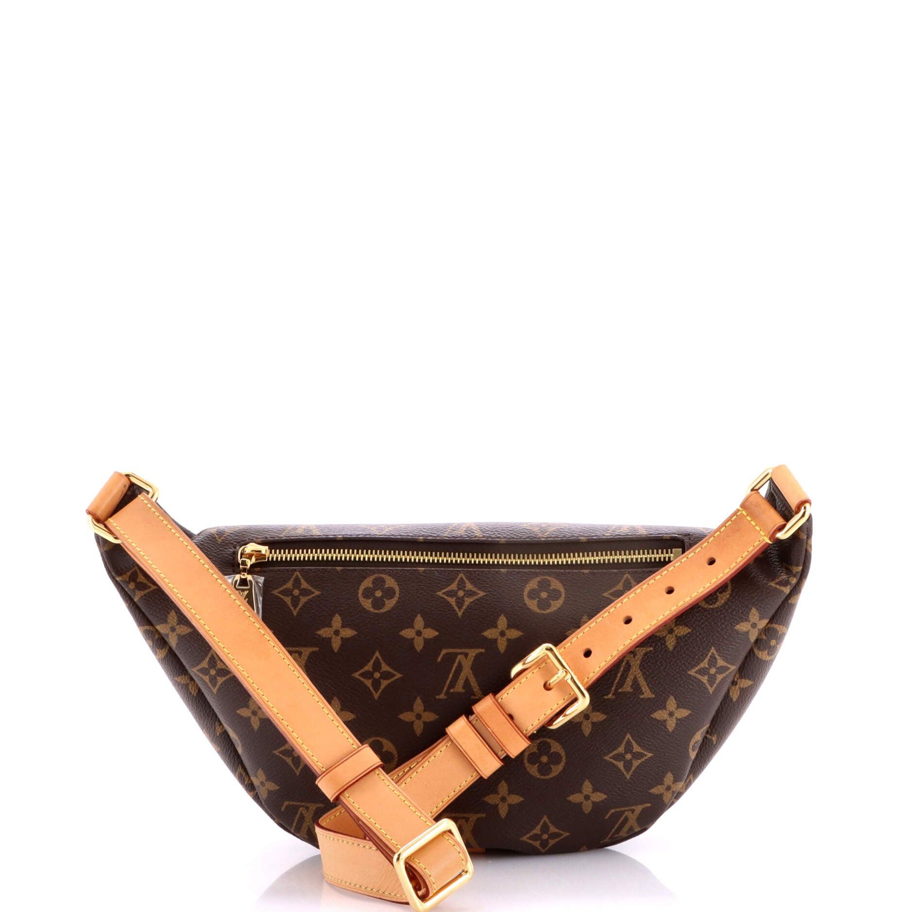 Louis Vuitton Bum Bag Size ONE SIZE - 3 Thumbnail