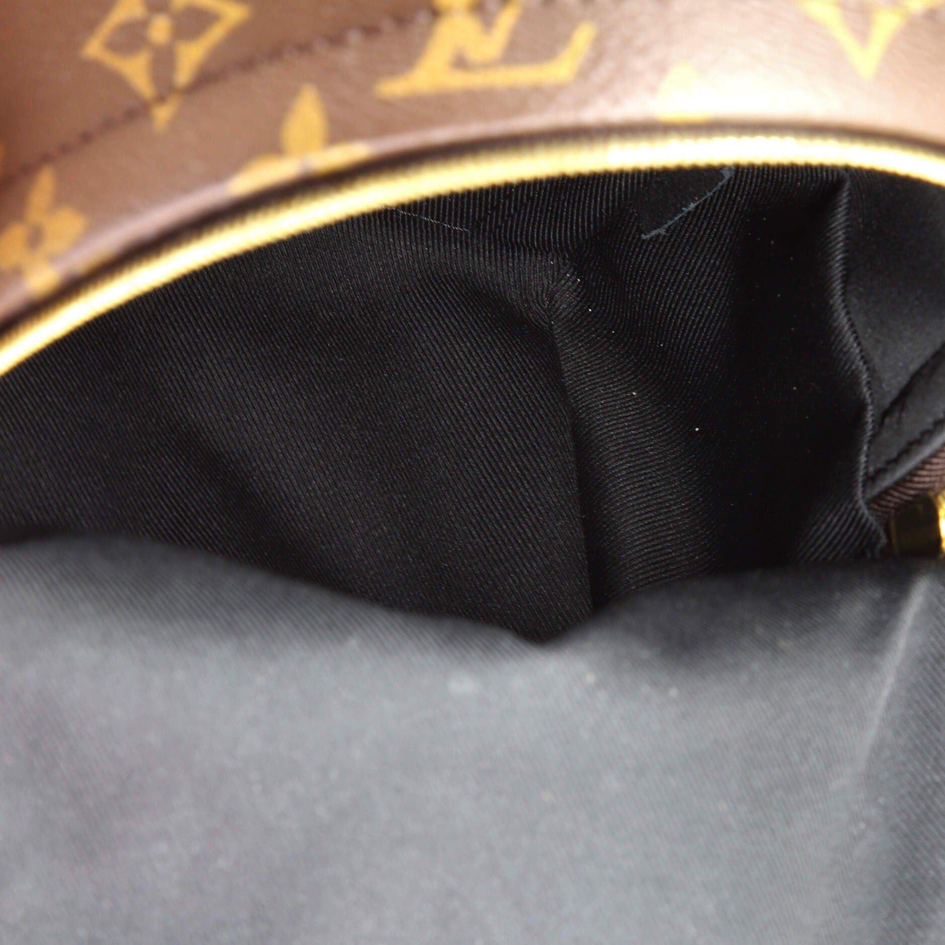 Louis Vuitton Palm Springs Backpack Size ONE SIZE - 5 Thumbnail