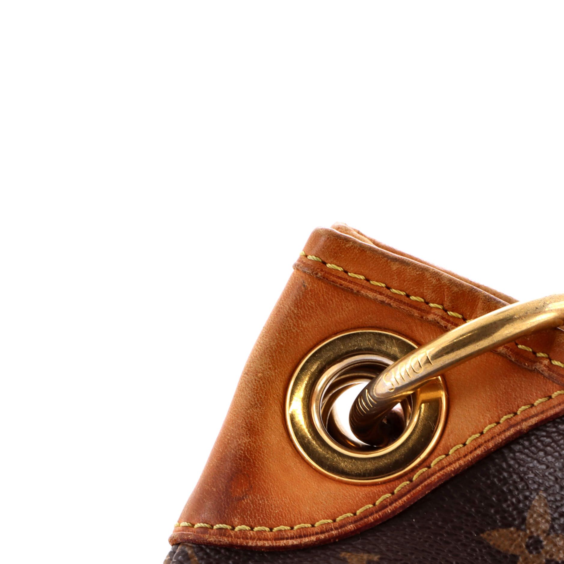 Louis Vuitton Galliera Handbag Size ONE SIZE - 6 Thumbnail