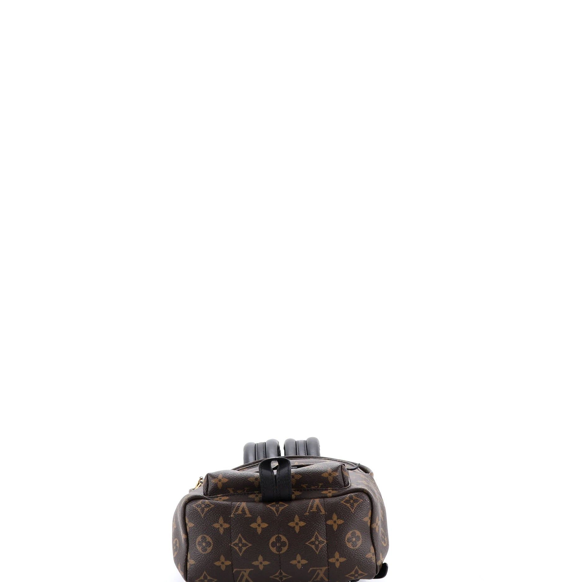 Louis Vuitton Palm Springs Backpack Size ONE SIZE - 4 Thumbnail
