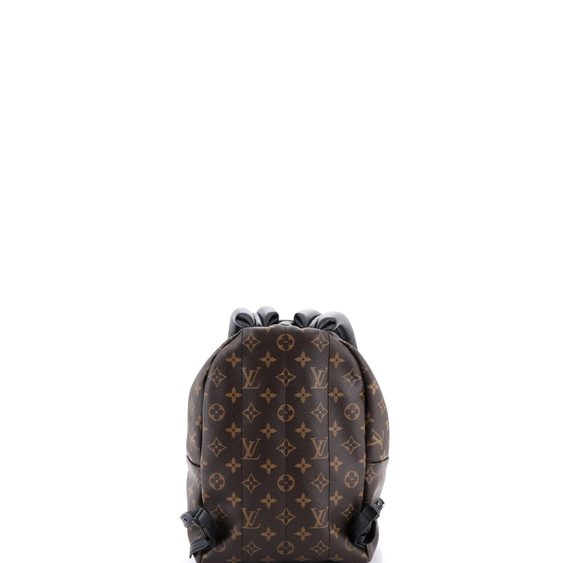 Louis Vuitton Palm Springs Backpack Size ONE SIZE - 3 Thumbnail
