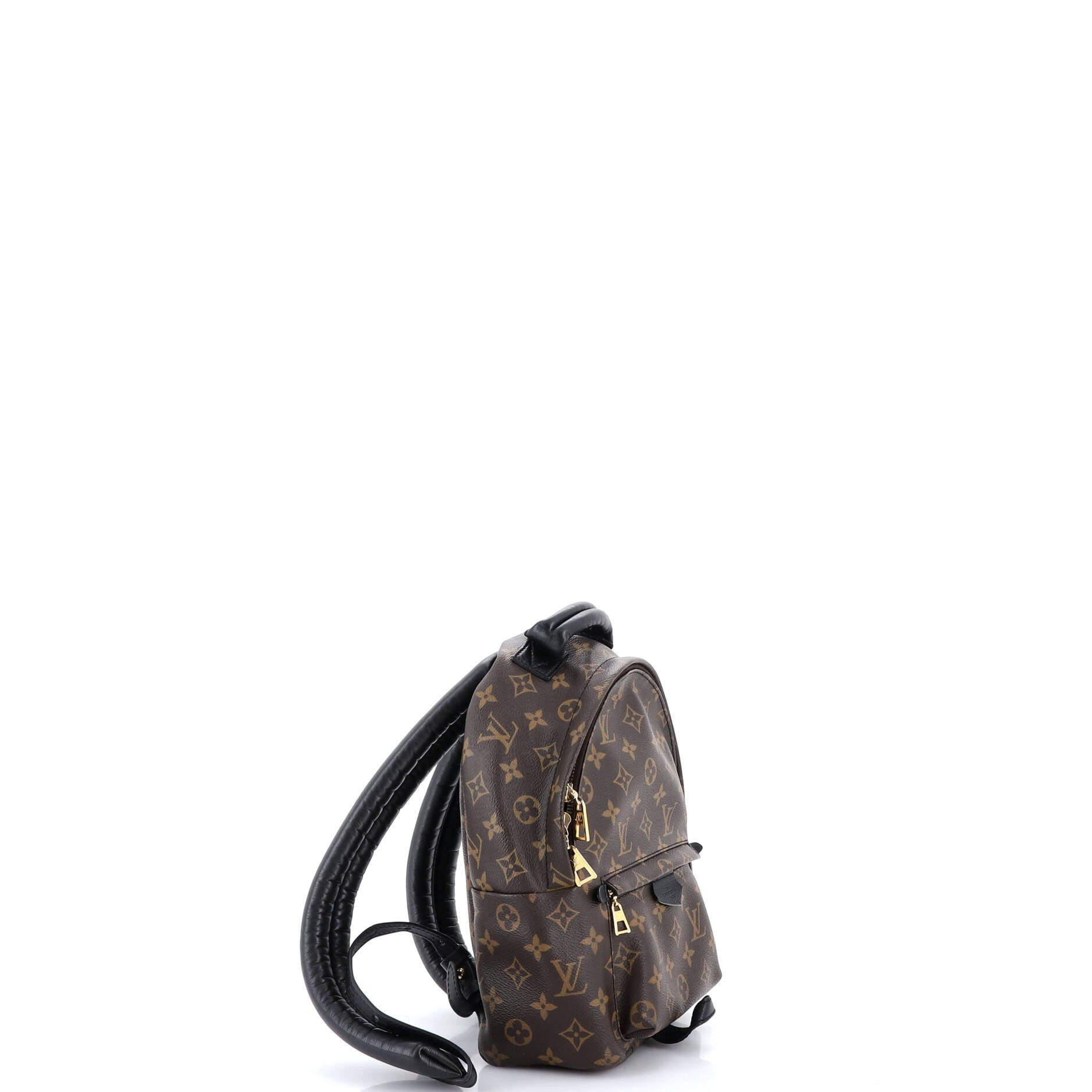 Louis Vuitton Palm Springs Backpack Size ONE SIZE - 2 Thumbnail