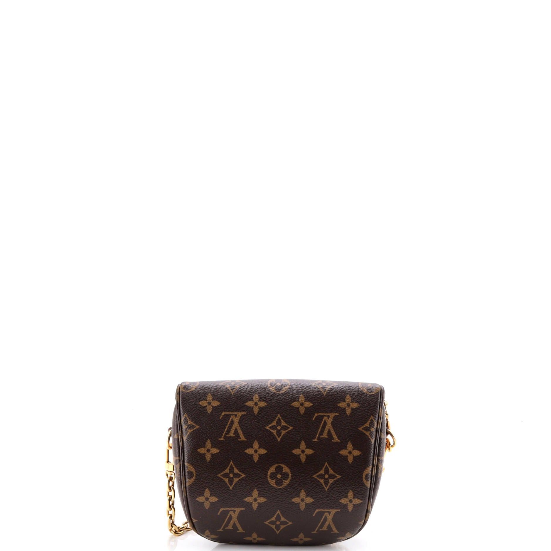 Louis Vuitton Bum Bag Size ONE SIZE - 3 Thumbnail