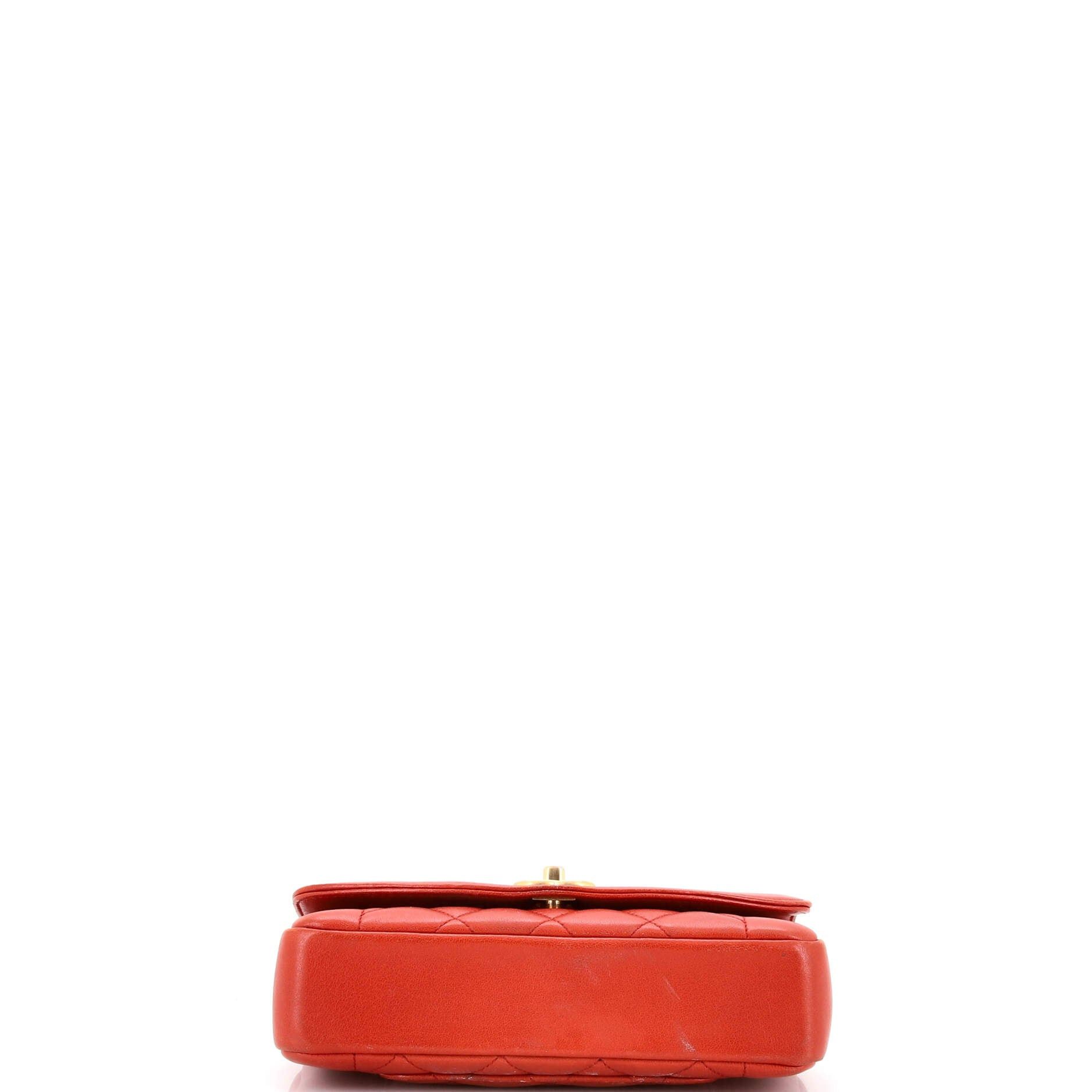 Chanel Vintage Diana Flap Bag Size ONE SIZE - 5 Thumbnail
