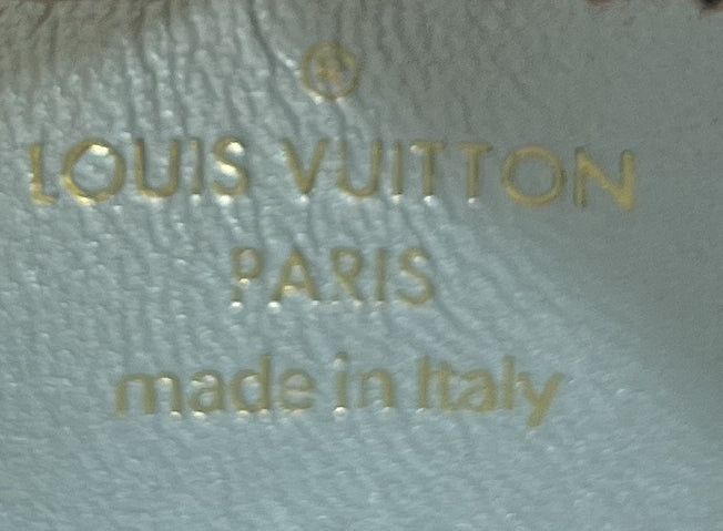 Louis Vuitton Coussin Bag Size ONE SIZE - 6 Thumbnail