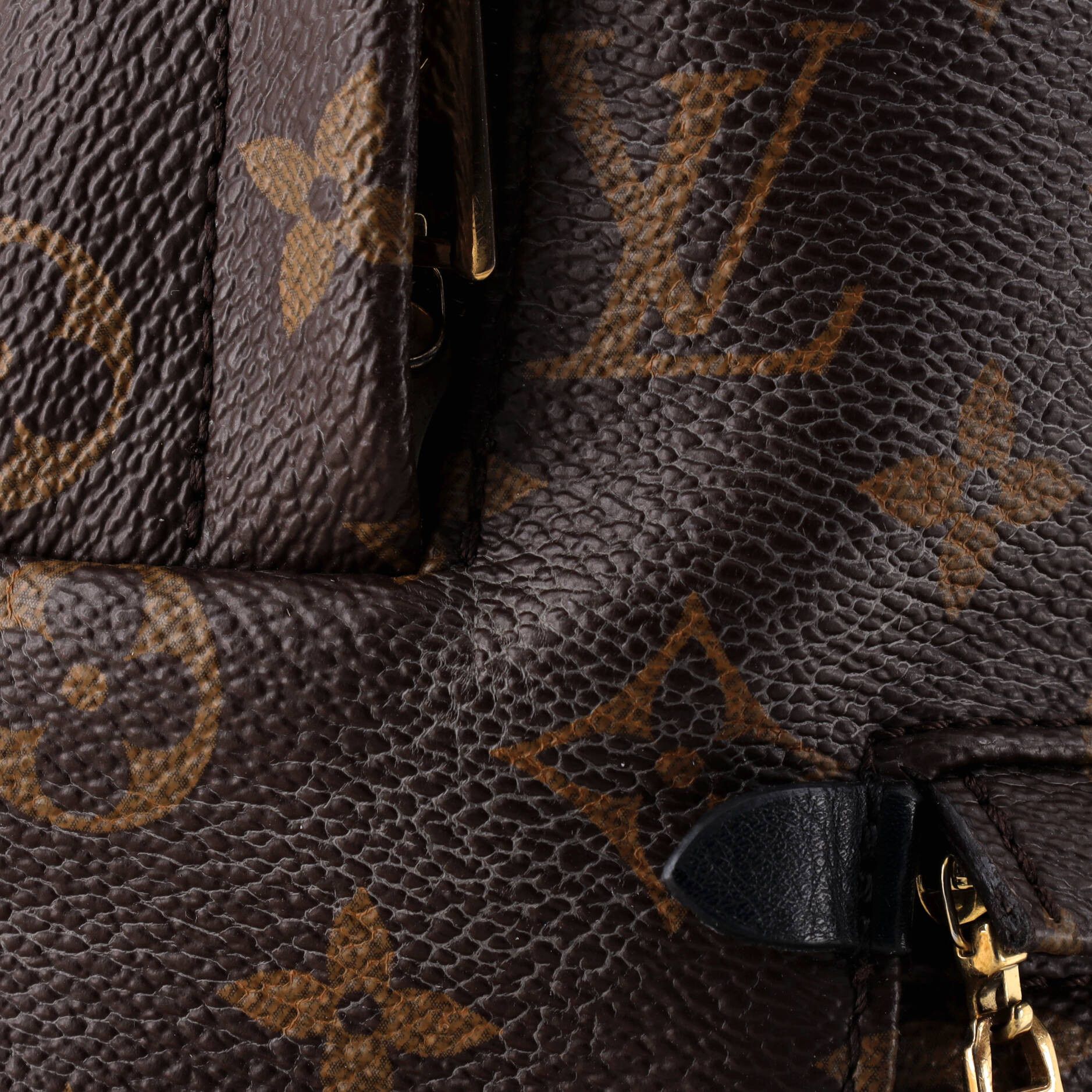 Louis Vuitton Palm Springs Backpack Size ONE SIZE - 6 Thumbnail