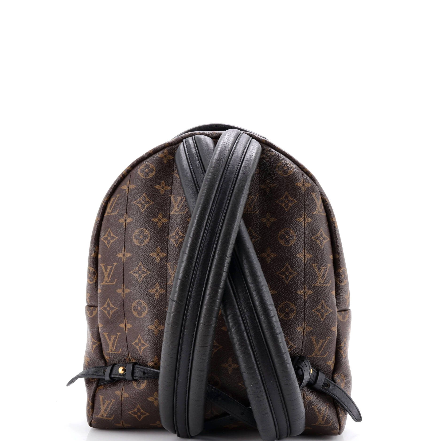 Louis Vuitton Palm Springs Backpack Size ONE SIZE - 3 Thumbnail