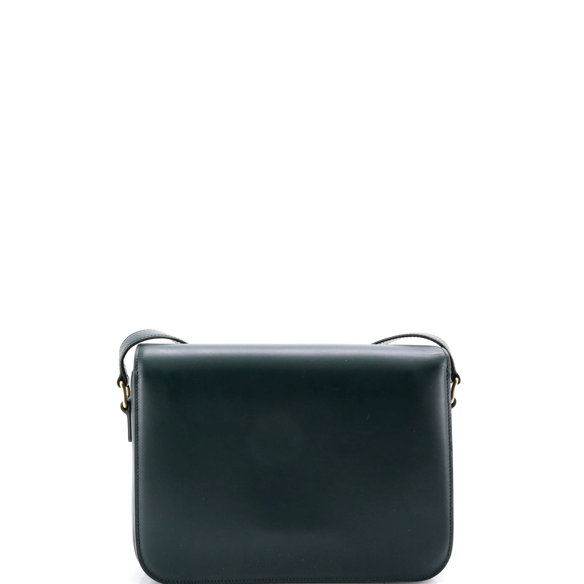 Celine Triomphe Shoulder Bag Size ONE SIZE - 3 Thumbnail