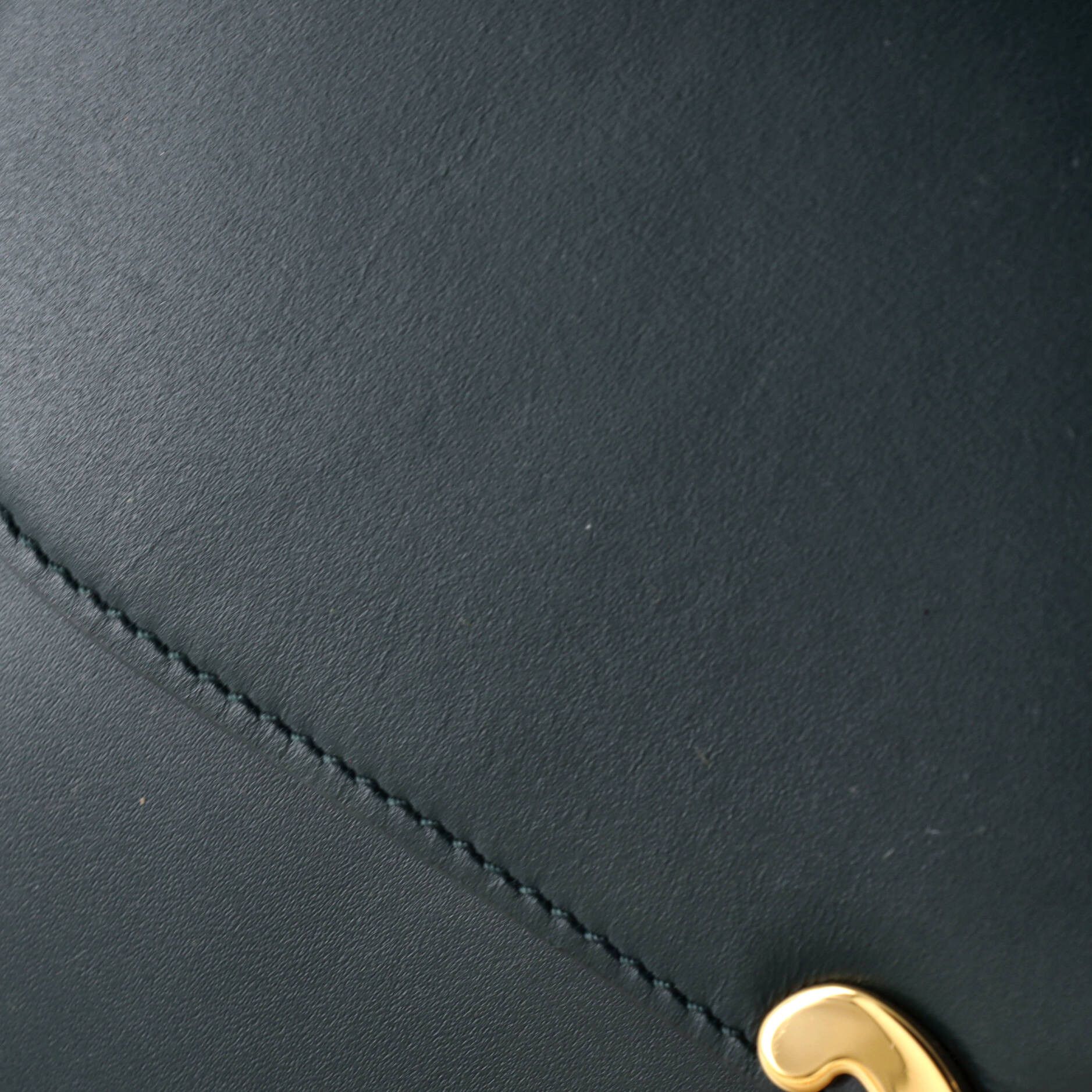 Celine Triomphe Shoulder Bag Size ONE SIZE - 6 Thumbnail