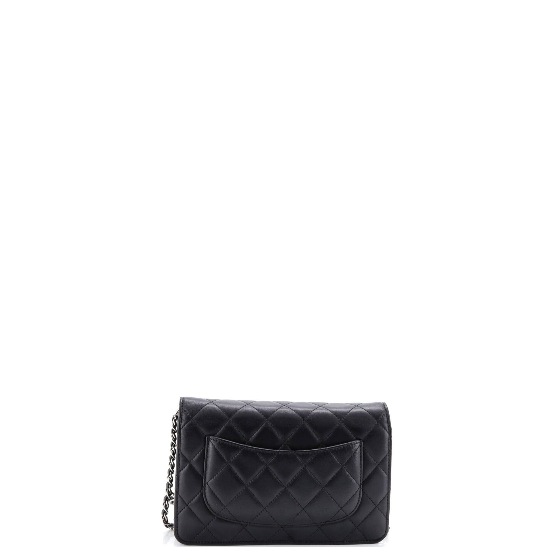 Chanel Wallet on Chain Size ONE SIZE - 3 Thumbnail