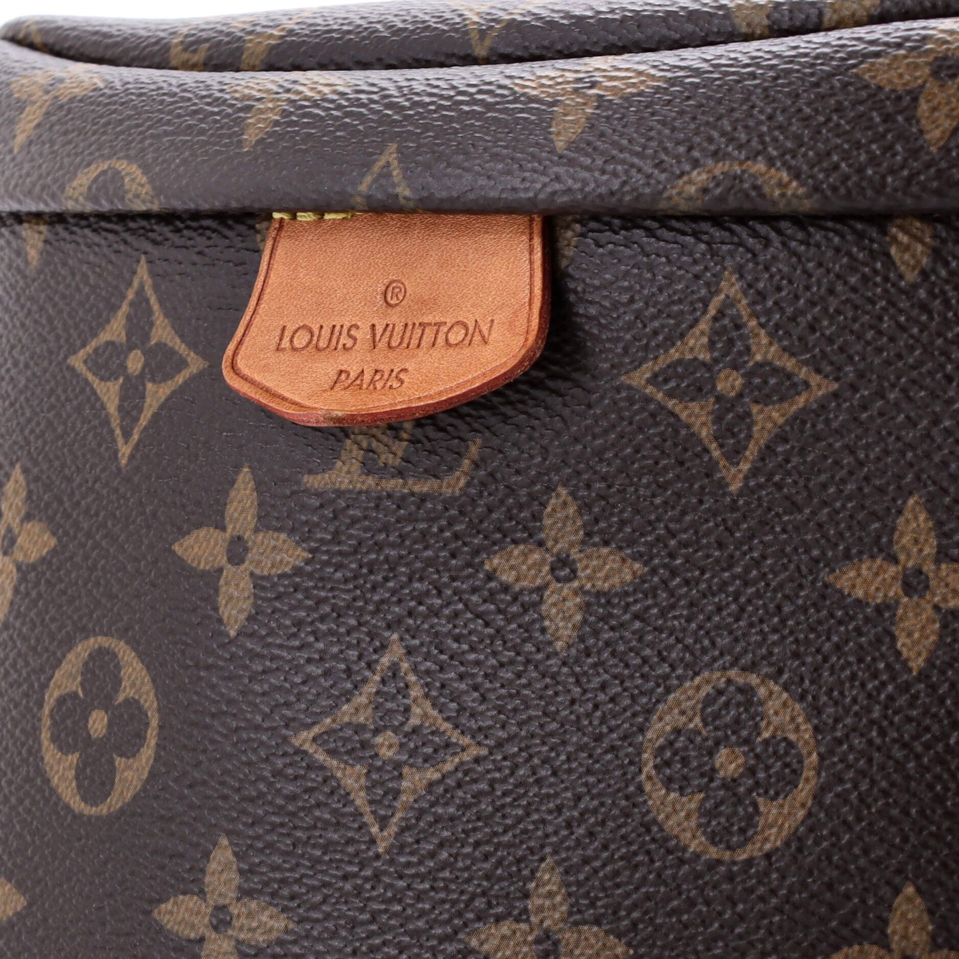 Louis Vuitton Bum Bag Size ONE SIZE - 6 Thumbnail