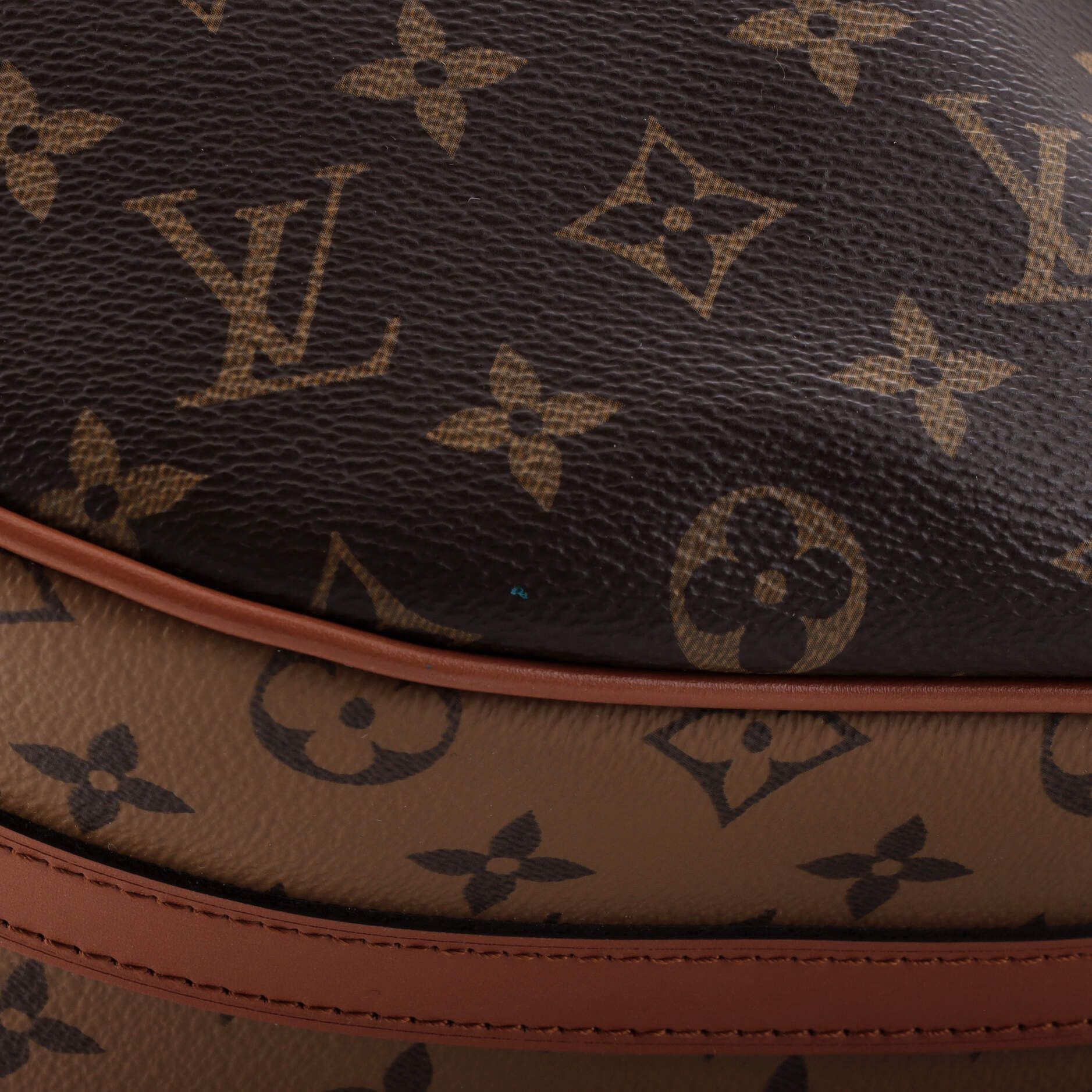 Louis Vuitton Loop Hobo Size ONE SIZE - 6 Thumbnail