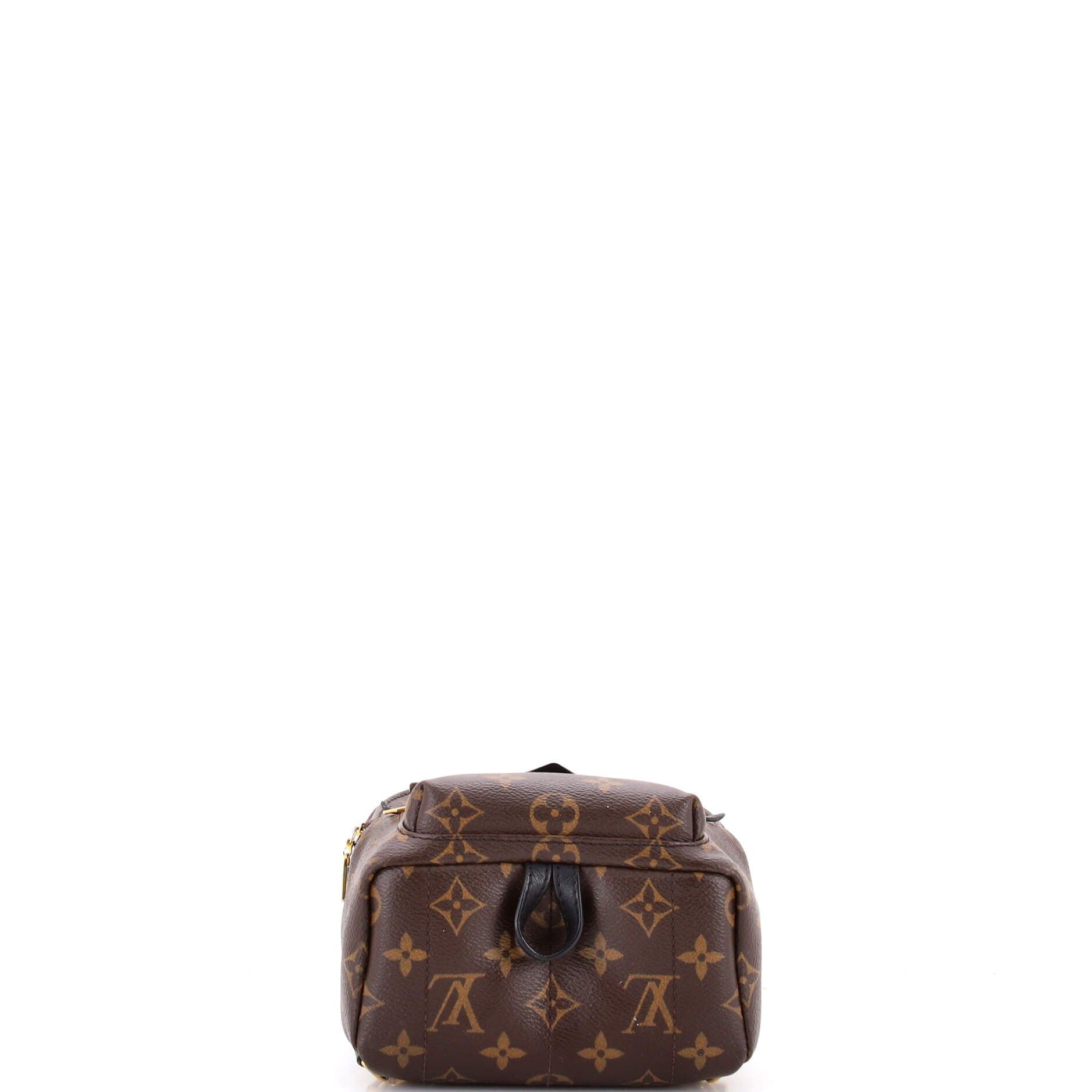 Louis Vuitton Palm Springs Backpack Size ONE SIZE - 4 Thumbnail