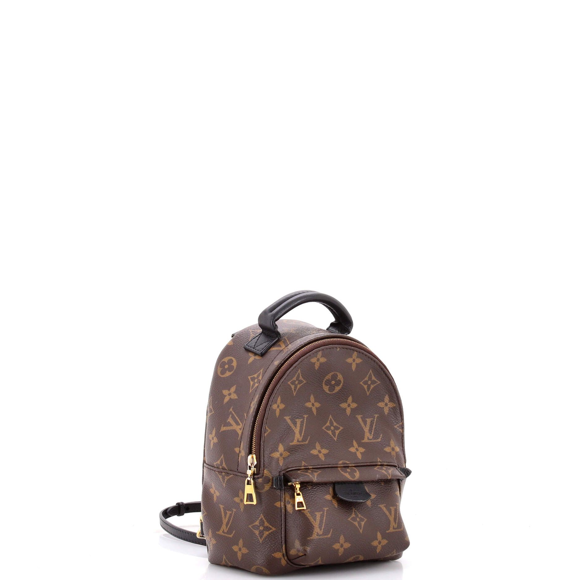 Louis Vuitton Palm Springs Backpack Size ONE SIZE - 2 Thumbnail