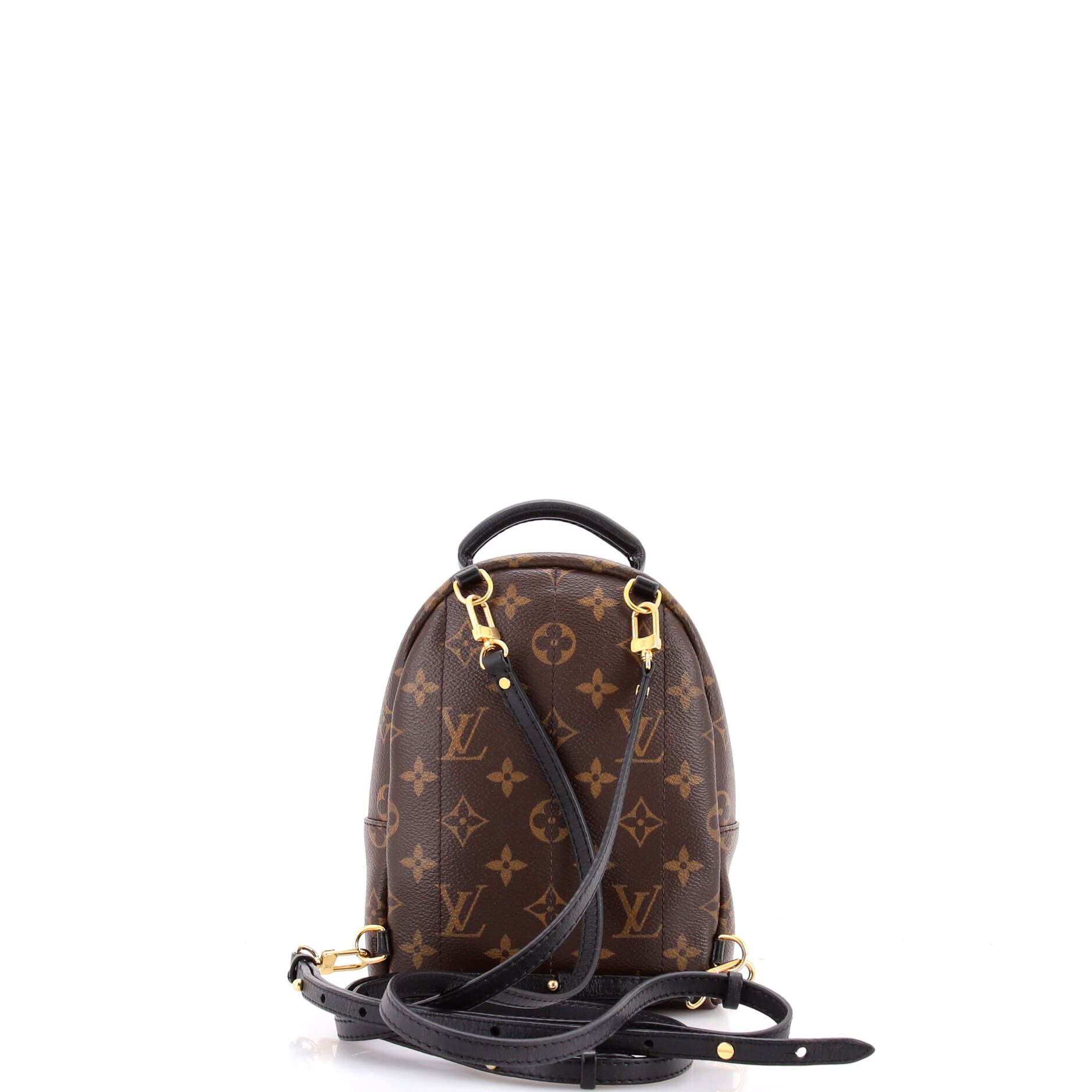 Louis Vuitton Palm Springs Backpack Size ONE SIZE - 3 Thumbnail
