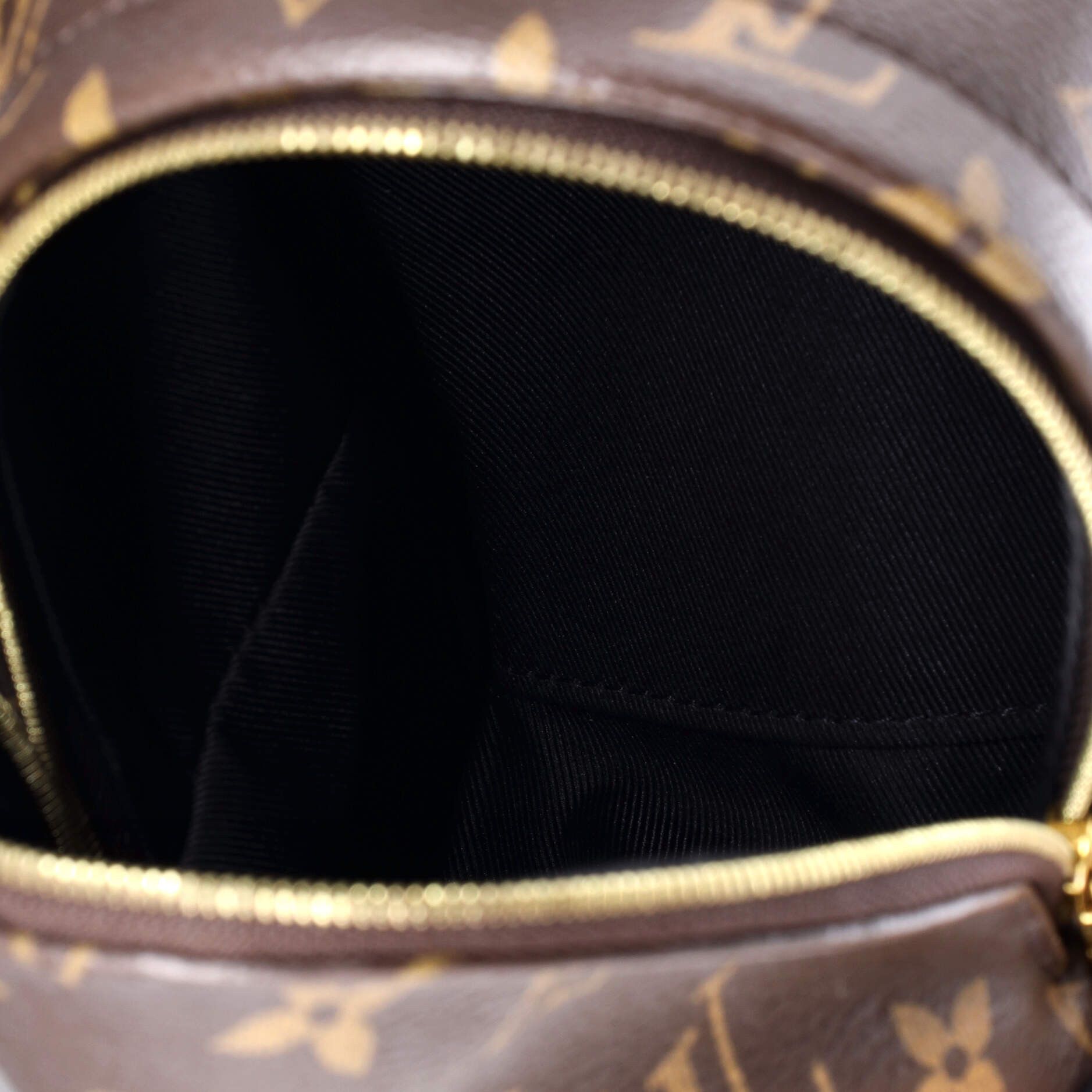Louis Vuitton Palm Springs Backpack Size ONE SIZE - 5 Thumbnail