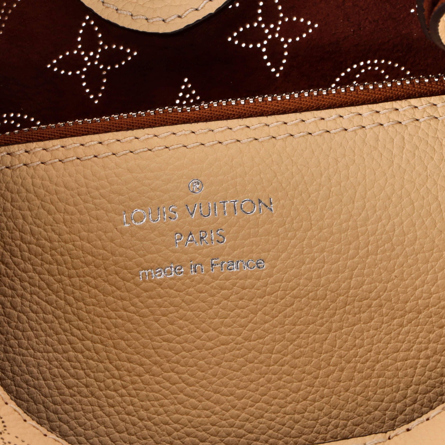 Louis Vuitton Carmel Hobo Size ONE SIZE - 8 Thumbnail