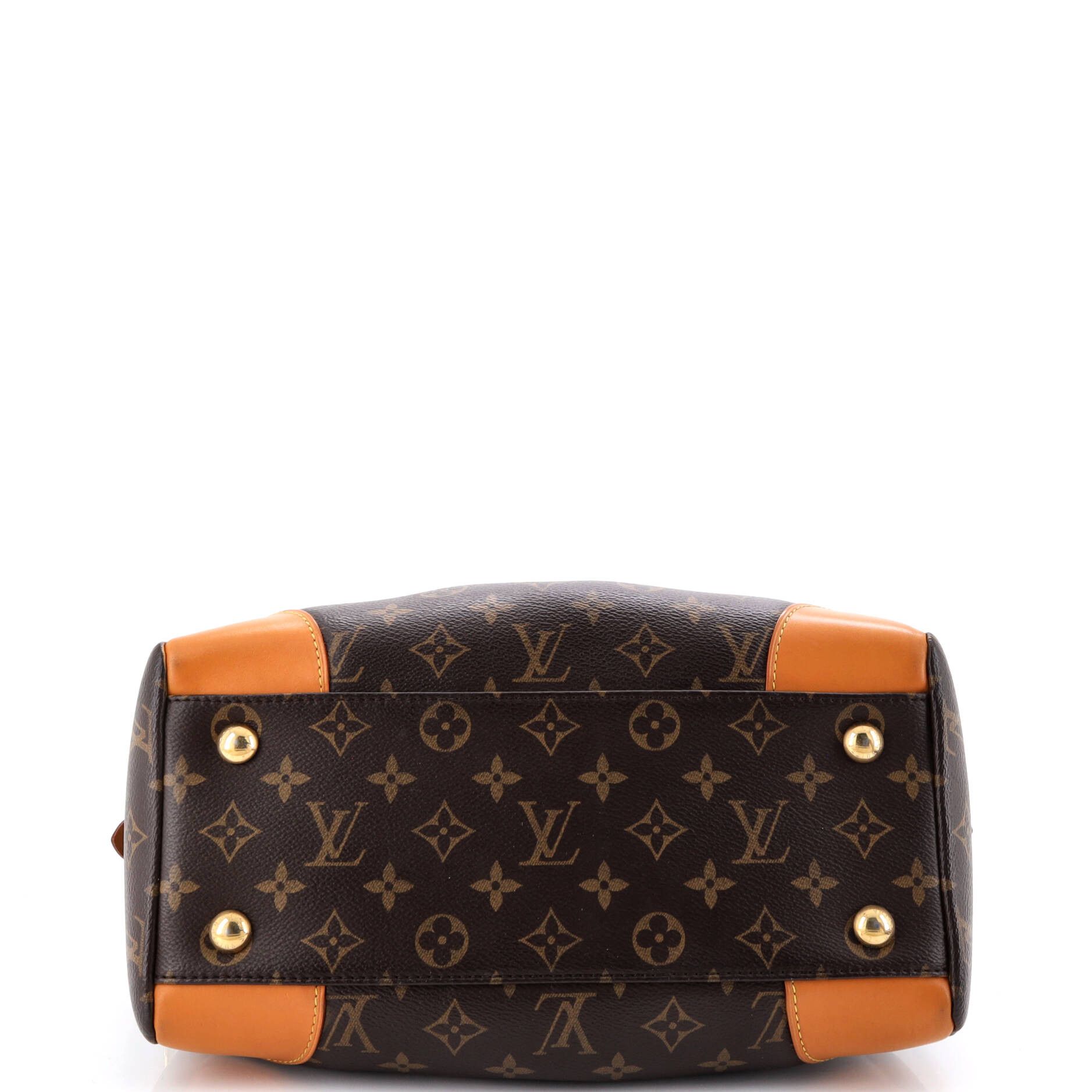 Louis Vuitton Segur NM Handbag Size ONE SIZE - 4 Thumbnail