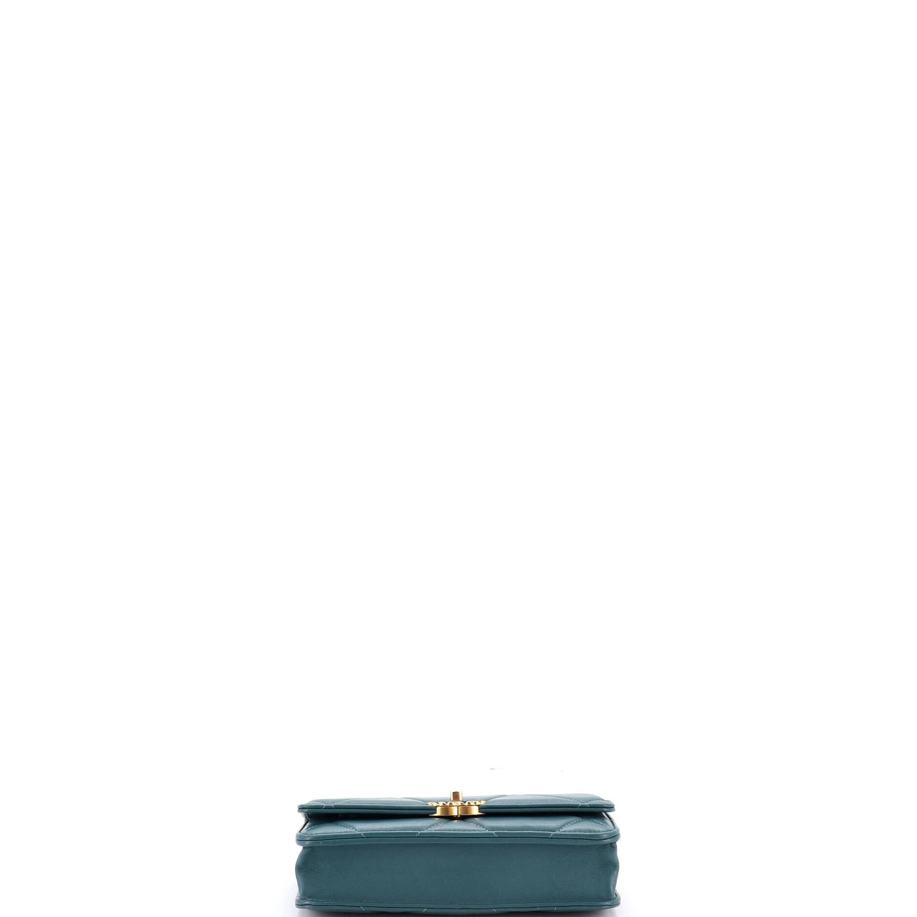 Chanel 19 Wallet on Chain Size ONE SIZE - 4 Thumbnail