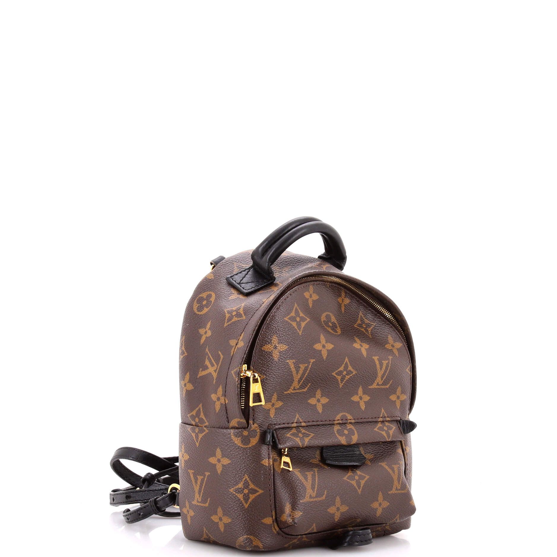 Louis Vuitton Palm Springs Backpack Size ONE SIZE - 3 Thumbnail